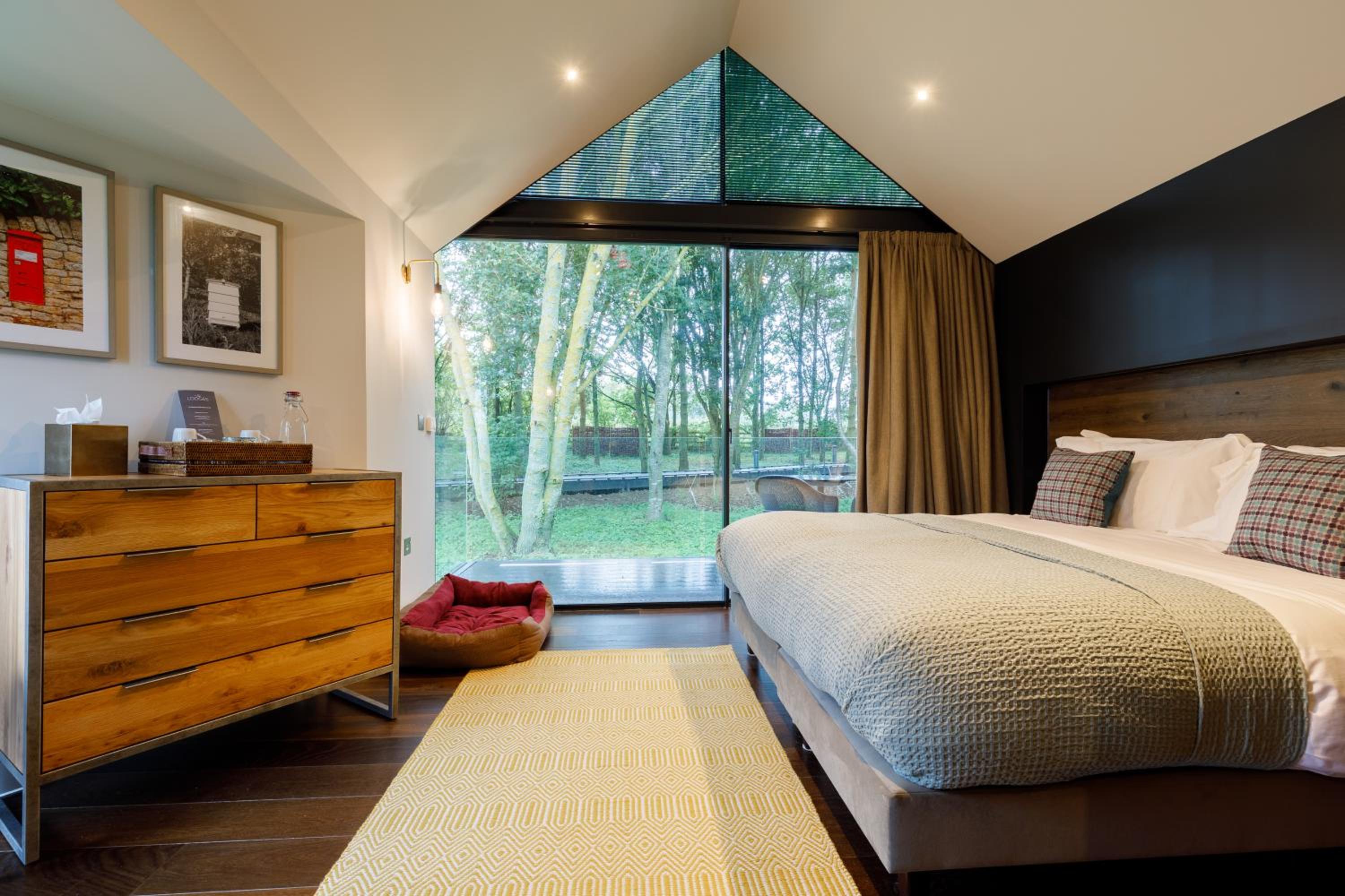 Lodge Woods View Room - Pet Friendly - Photo 1