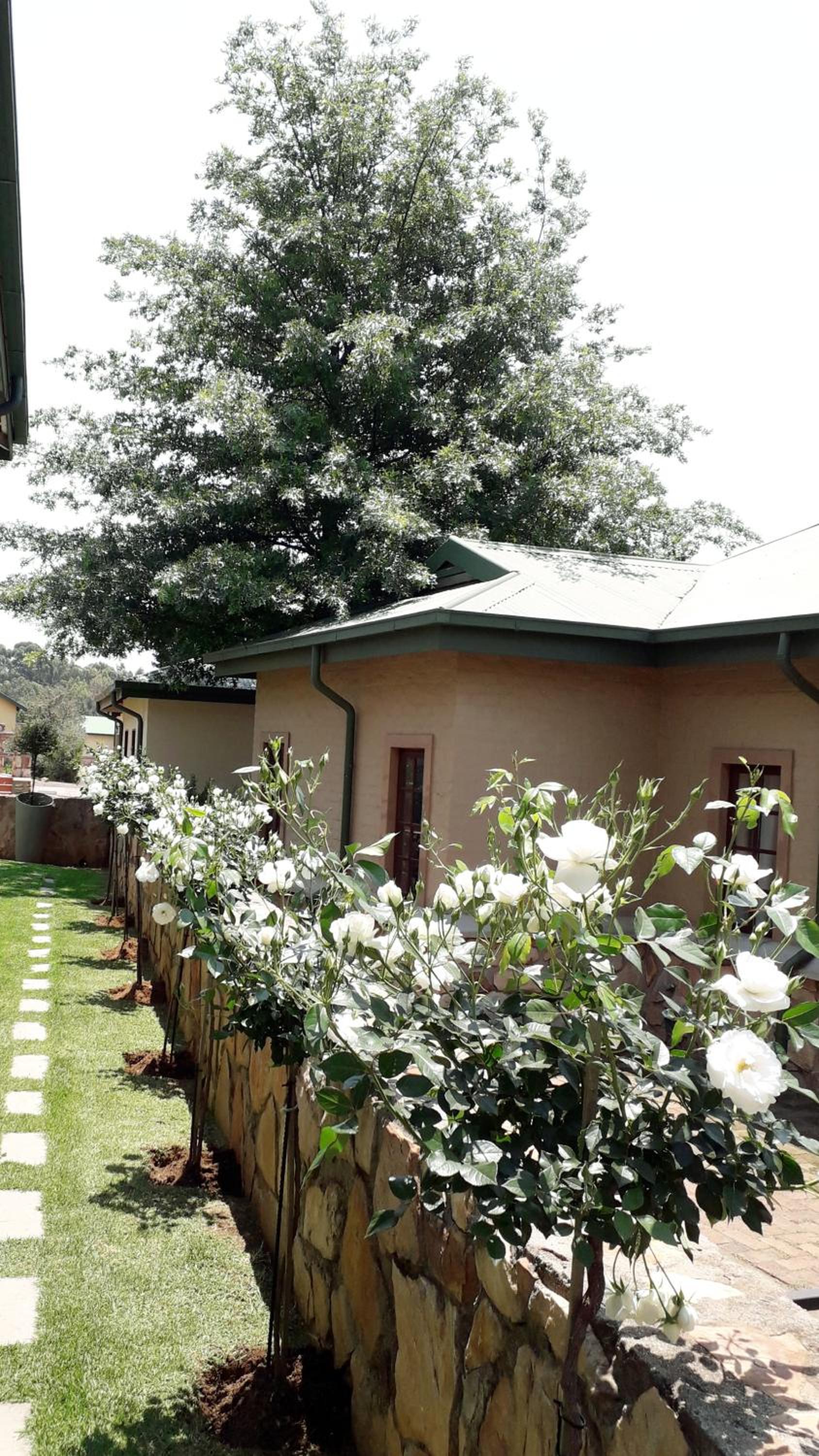 Deluxe Suite - Photo 11