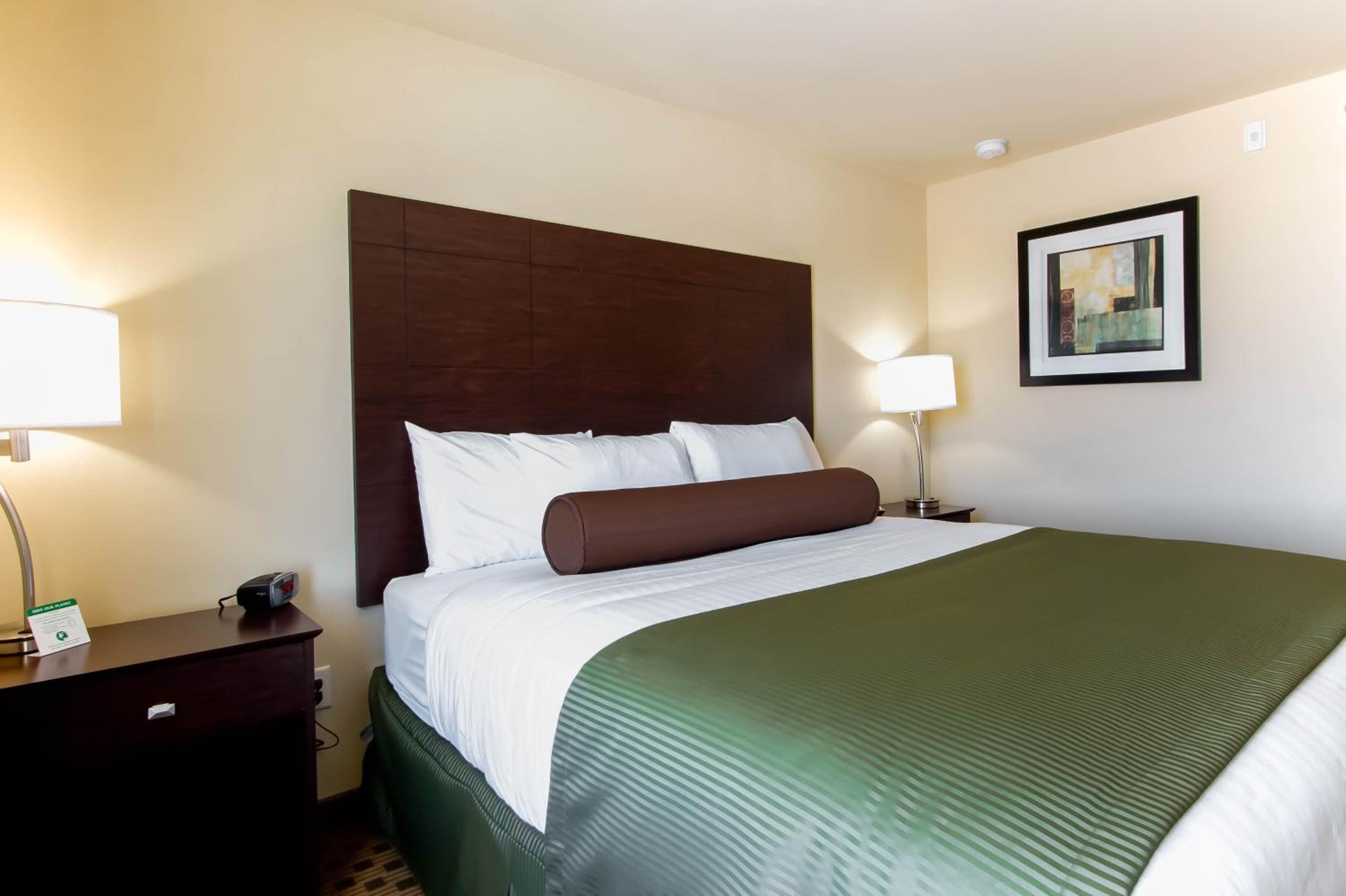 King Room photo 3