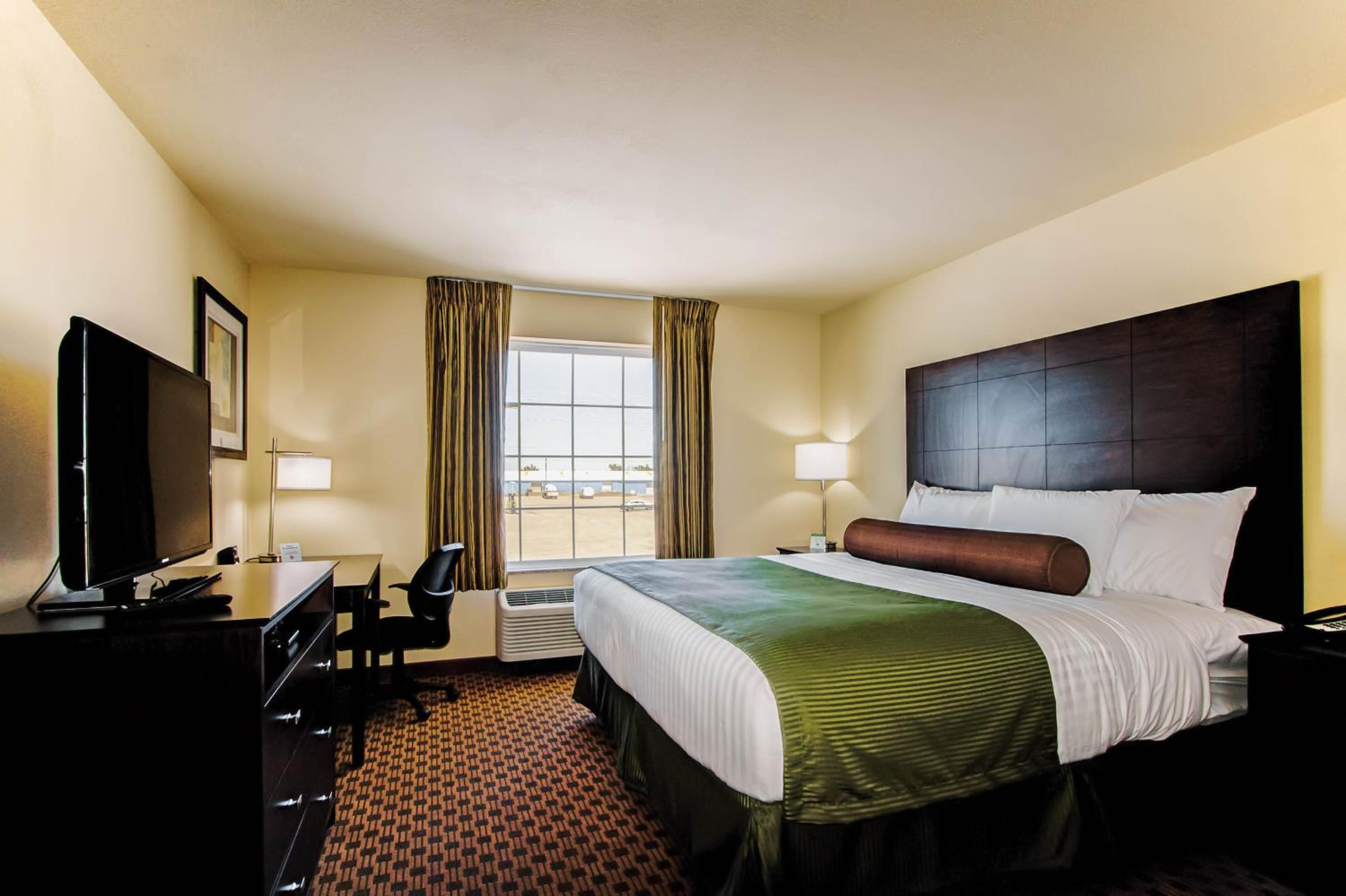 King Room photo 1