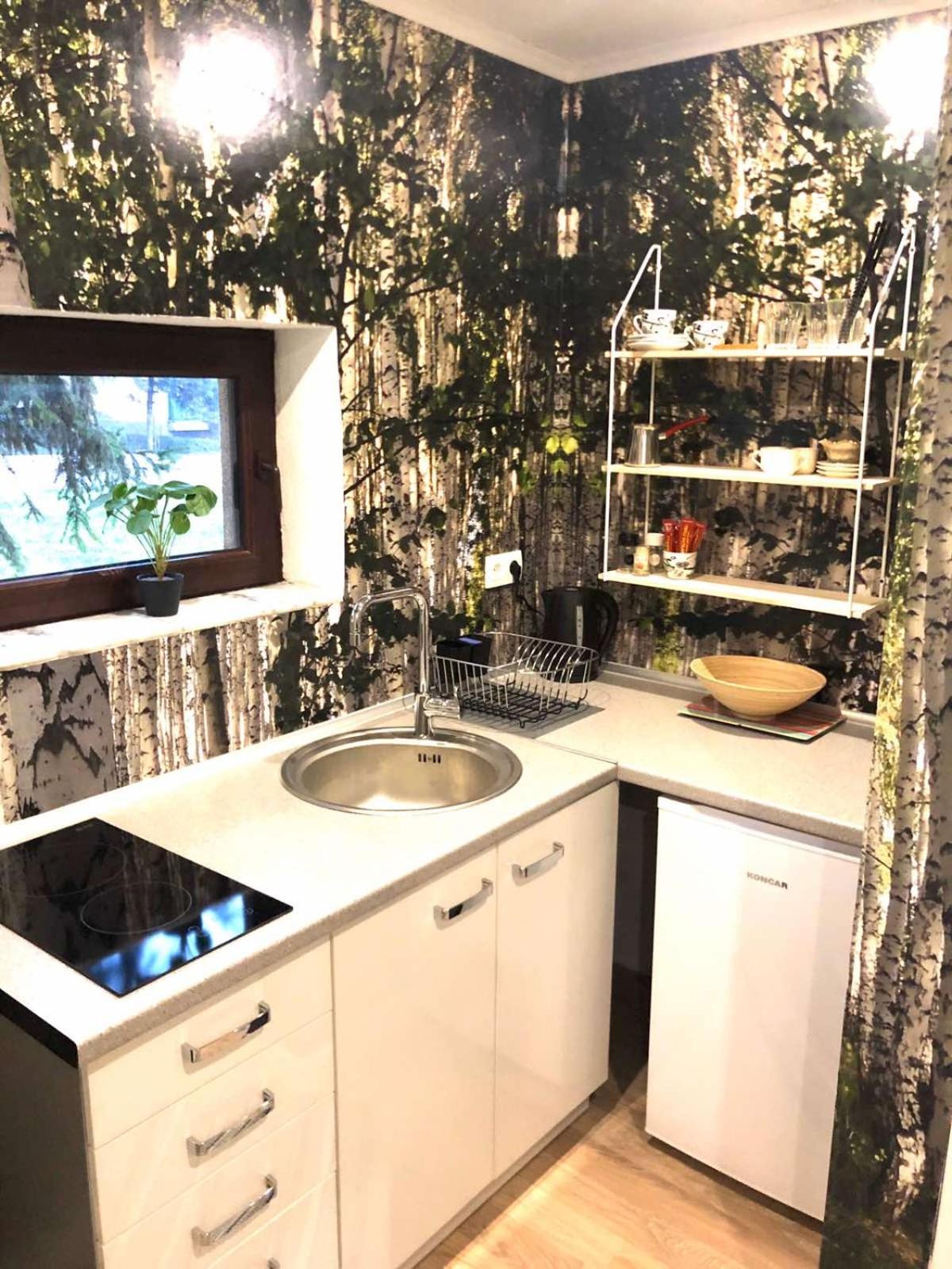 Studio Apartment photo 3