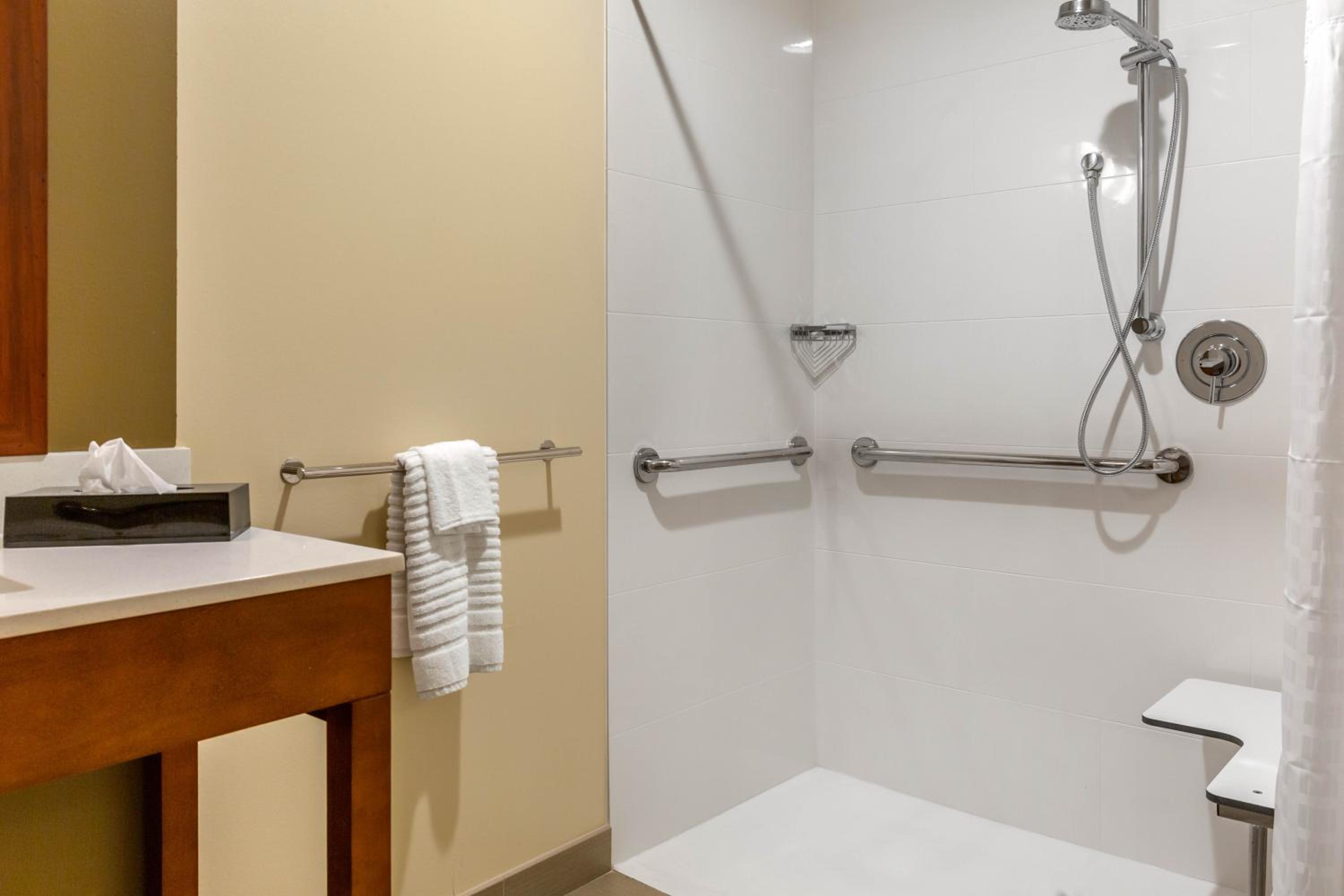 King Room with Roll-In Shower - Accessible/Non-Smoking - Photo 2