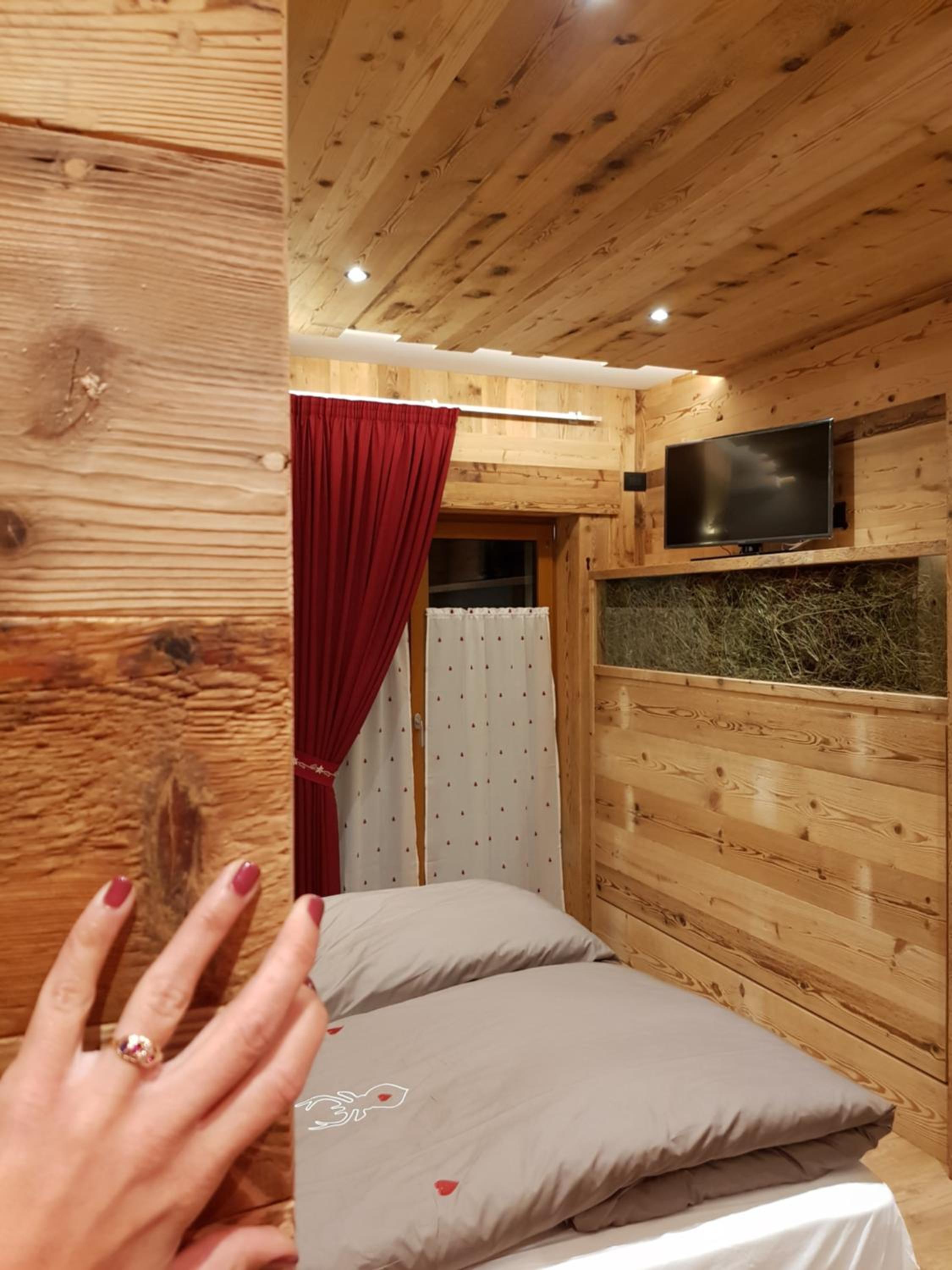 Deluxe Double or Twin Room with Mountain View photo 2
