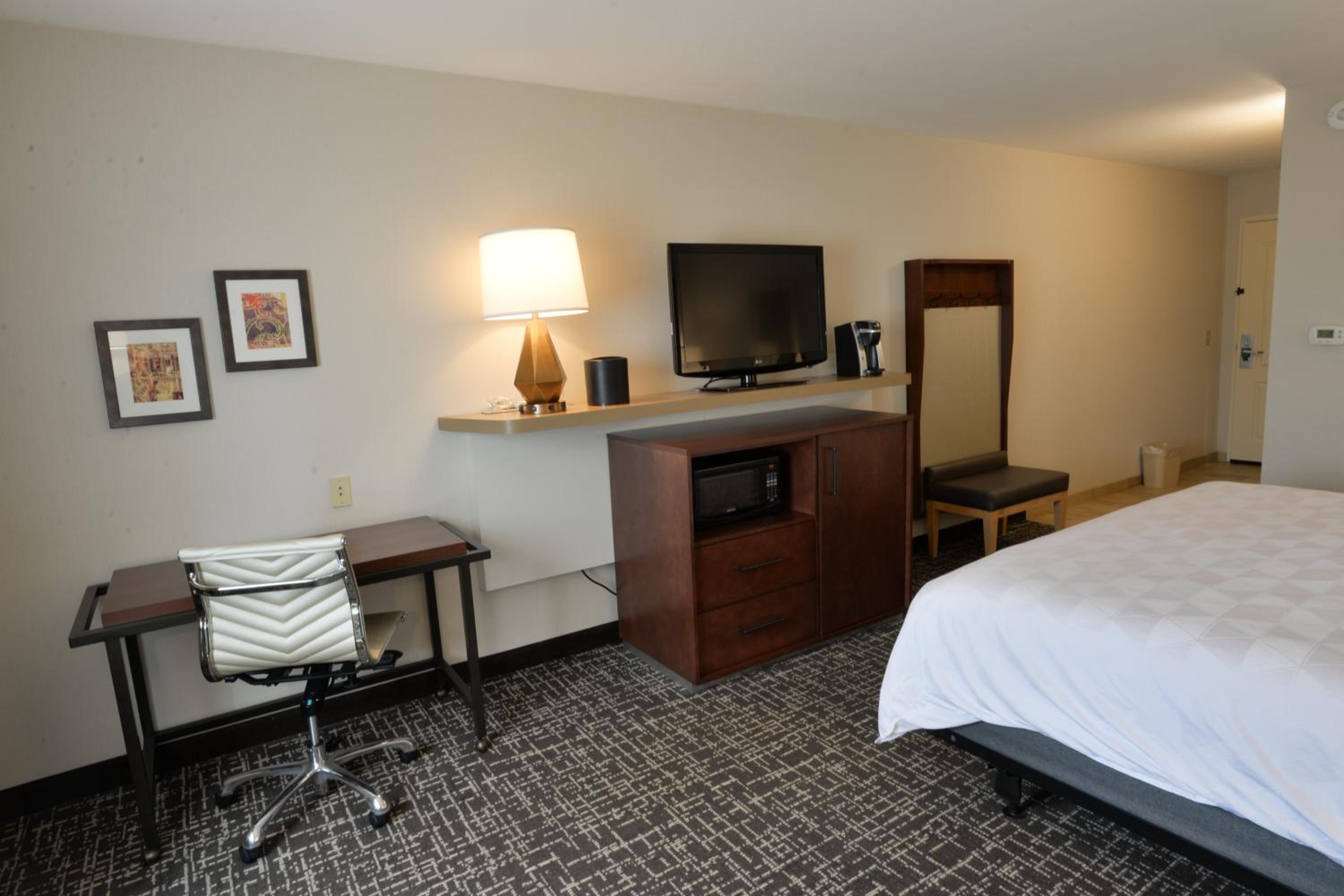 Standard King Room with Roll-in Shower - Mobility Accessible photo 2