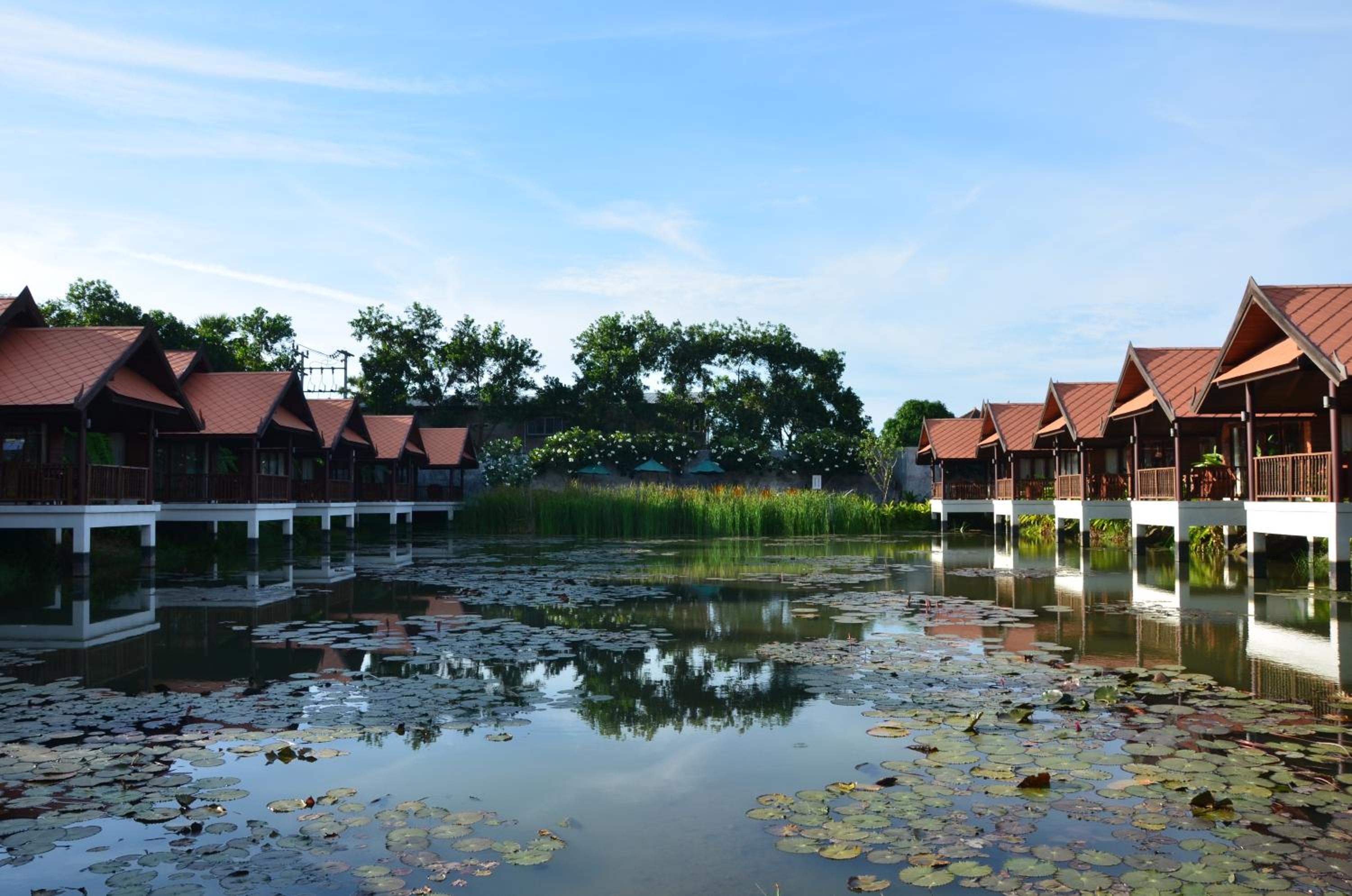 Lotus Villa photo 2