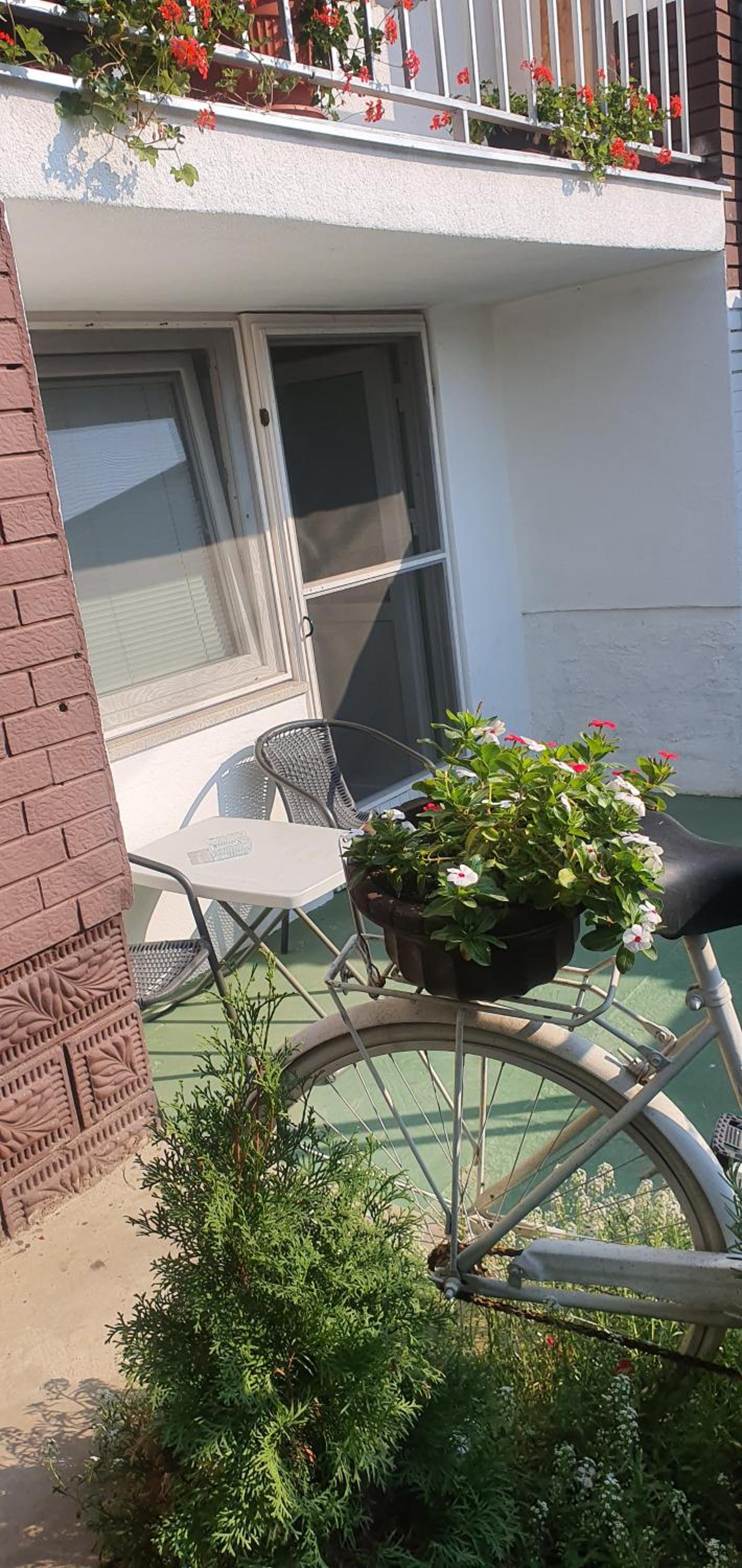 Comfort Triple Room with Shower - Photo 4