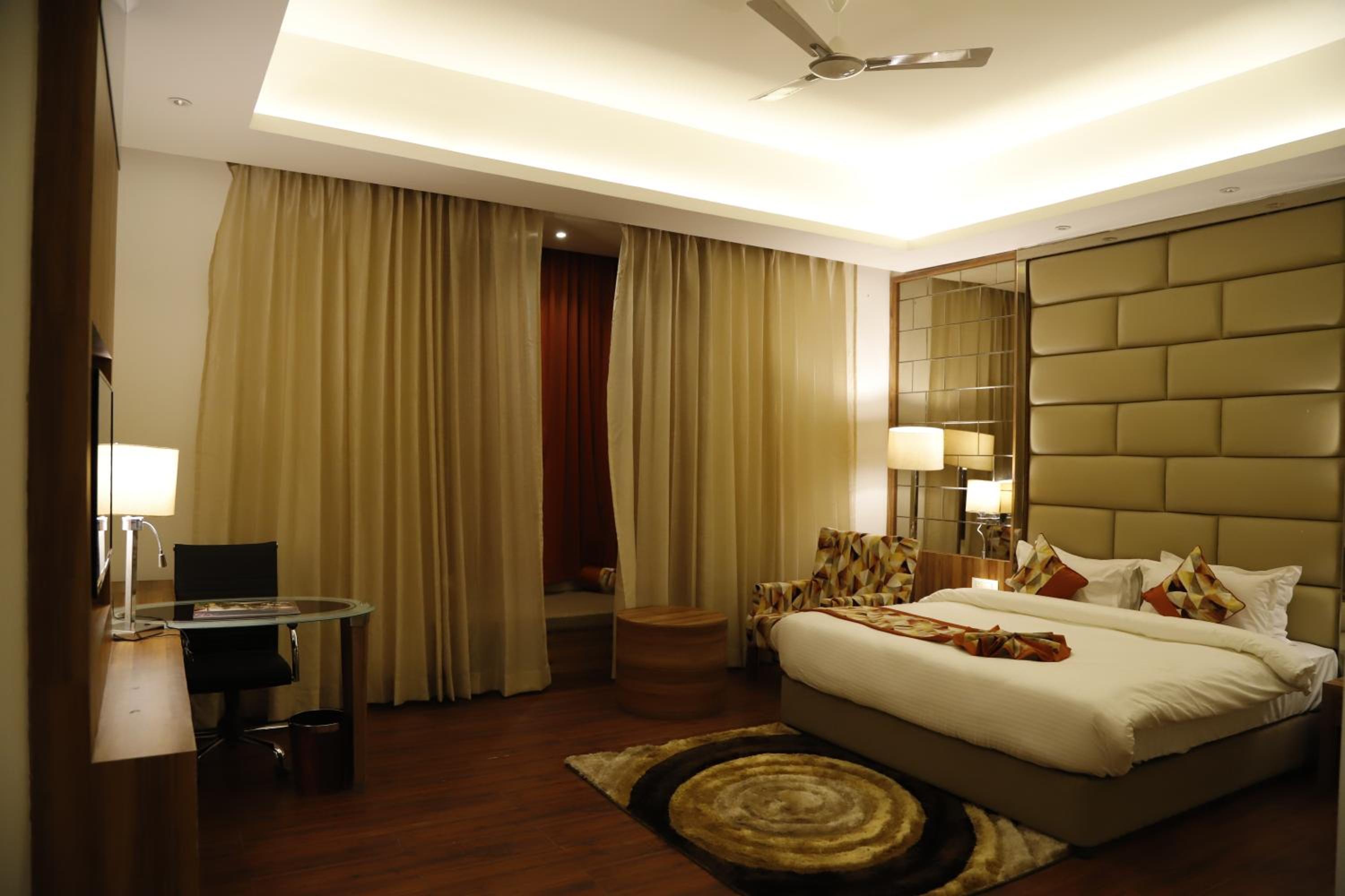 Suite - Photo 1