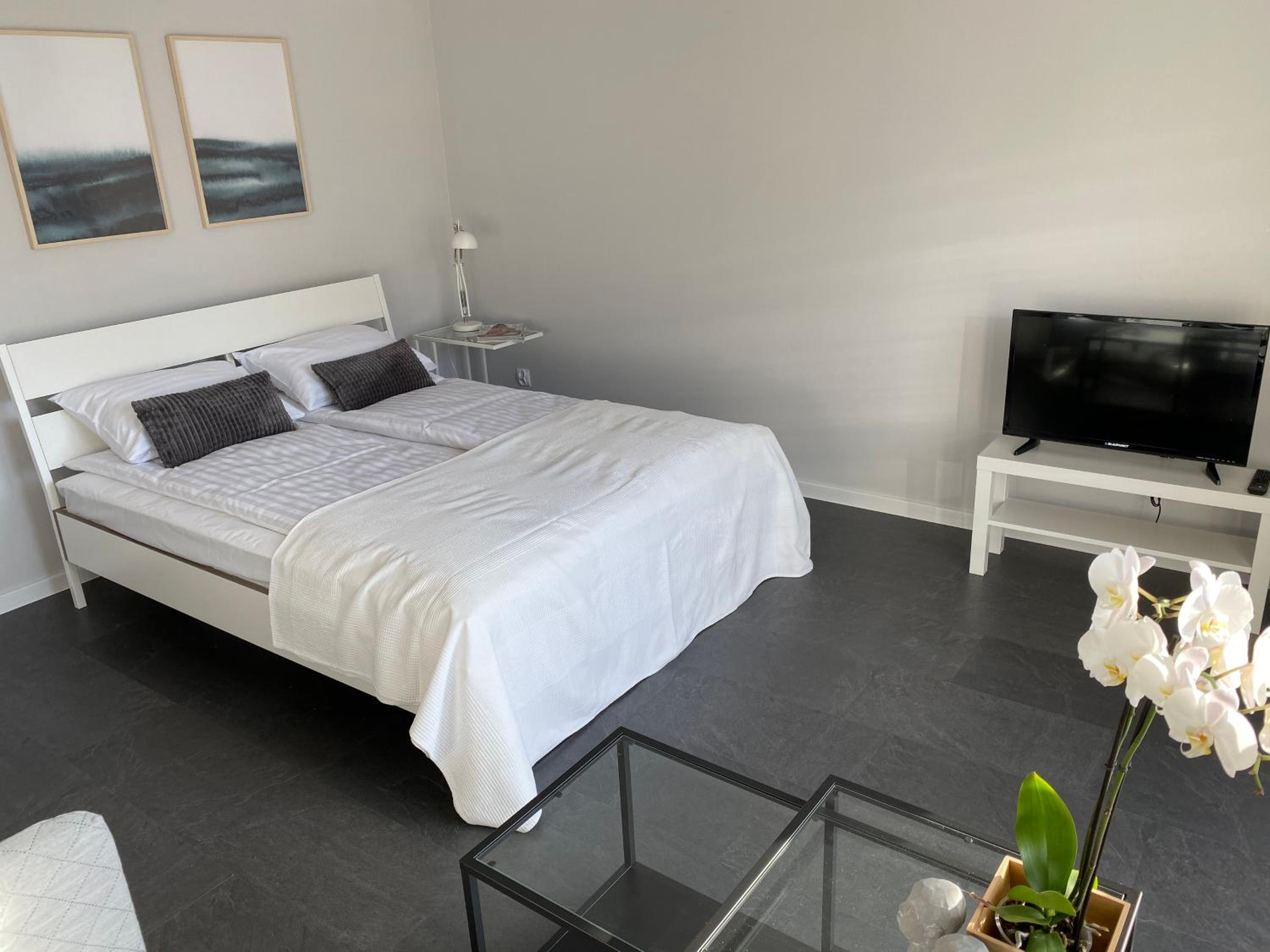Studio Apartment - Photo 10