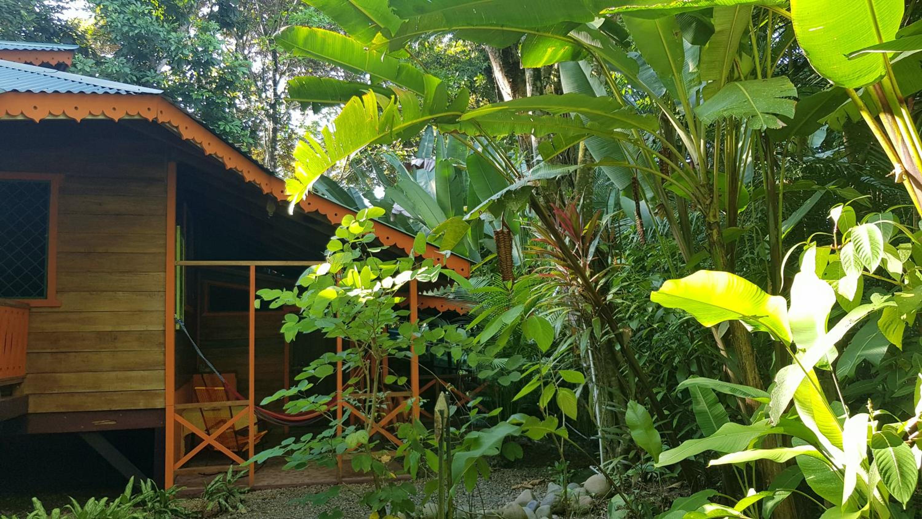 One-Bedroom House (Chiquita) photo 2