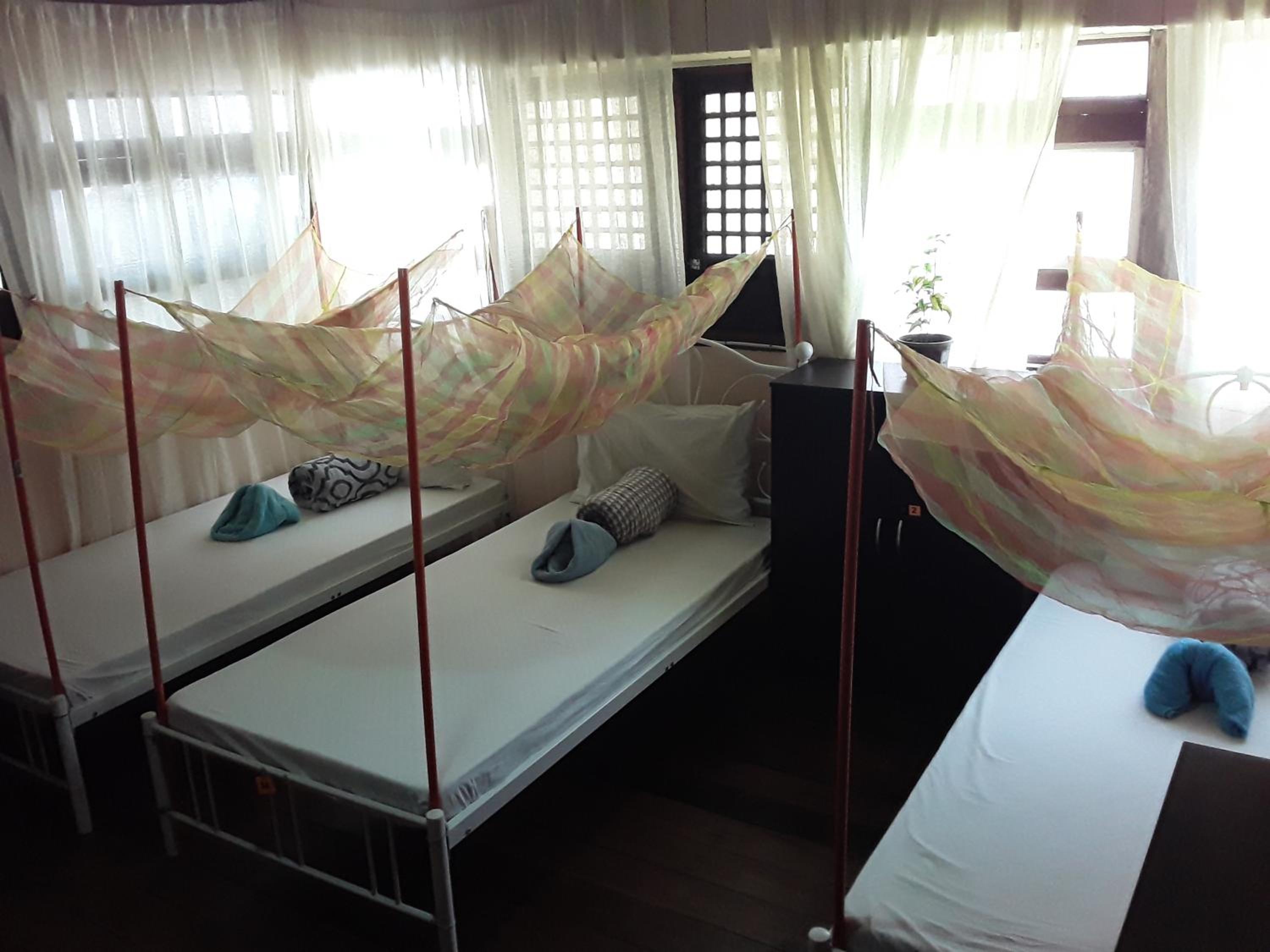 Bed in 4-Bed Mixed Dormitory Room photo 3