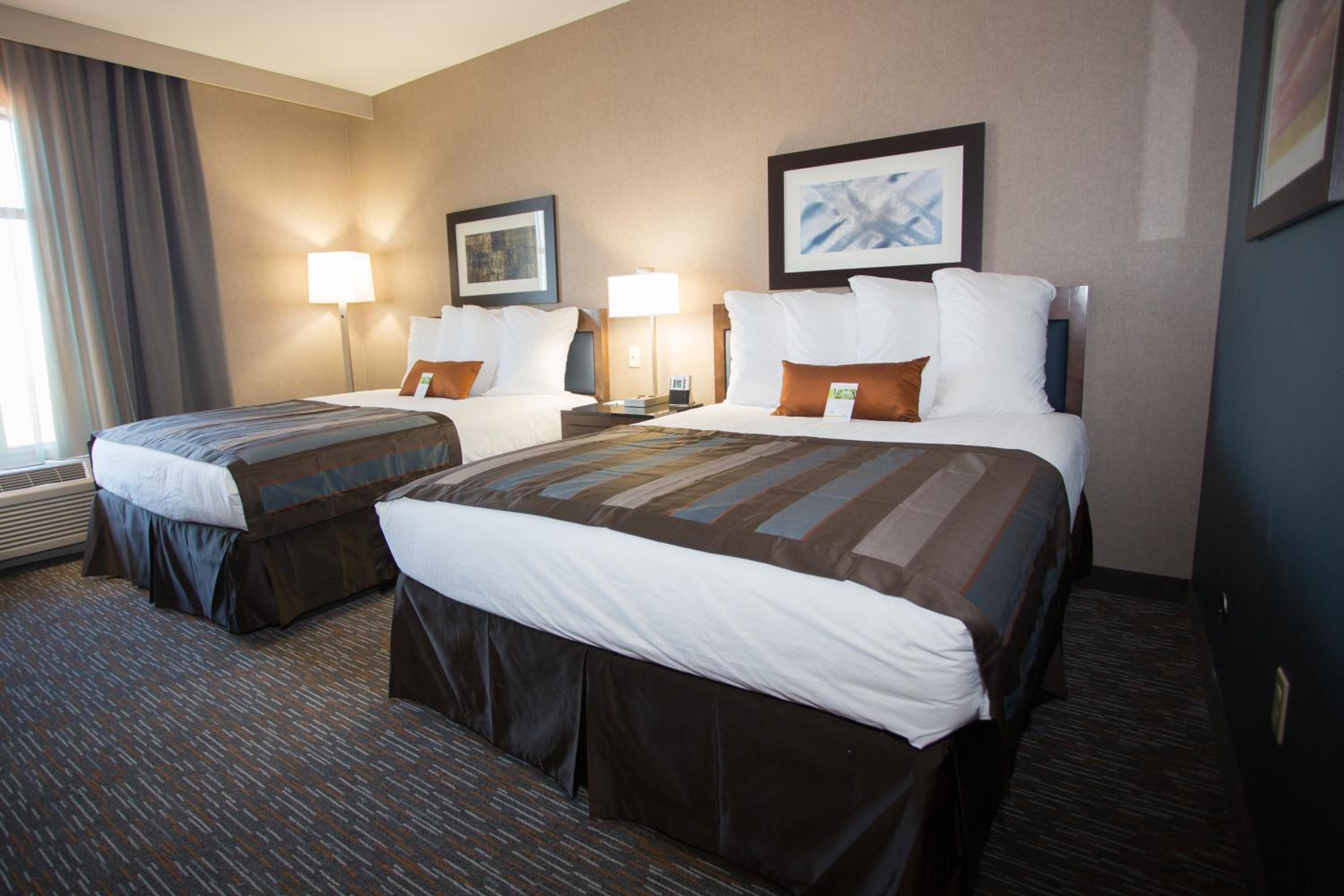 Queen Room with Two Queen Beds - Disability Access/Non-Smoking photo 3