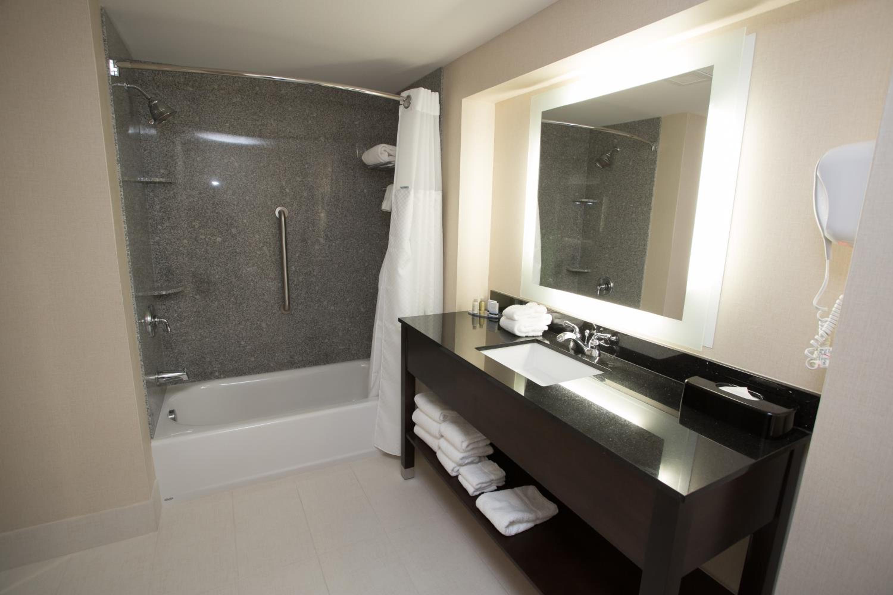 One-Bedroom Queen Suite - Non-Smoking photo 3
