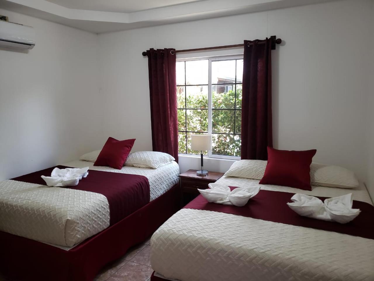 Twin Room with Pool View photo 1
