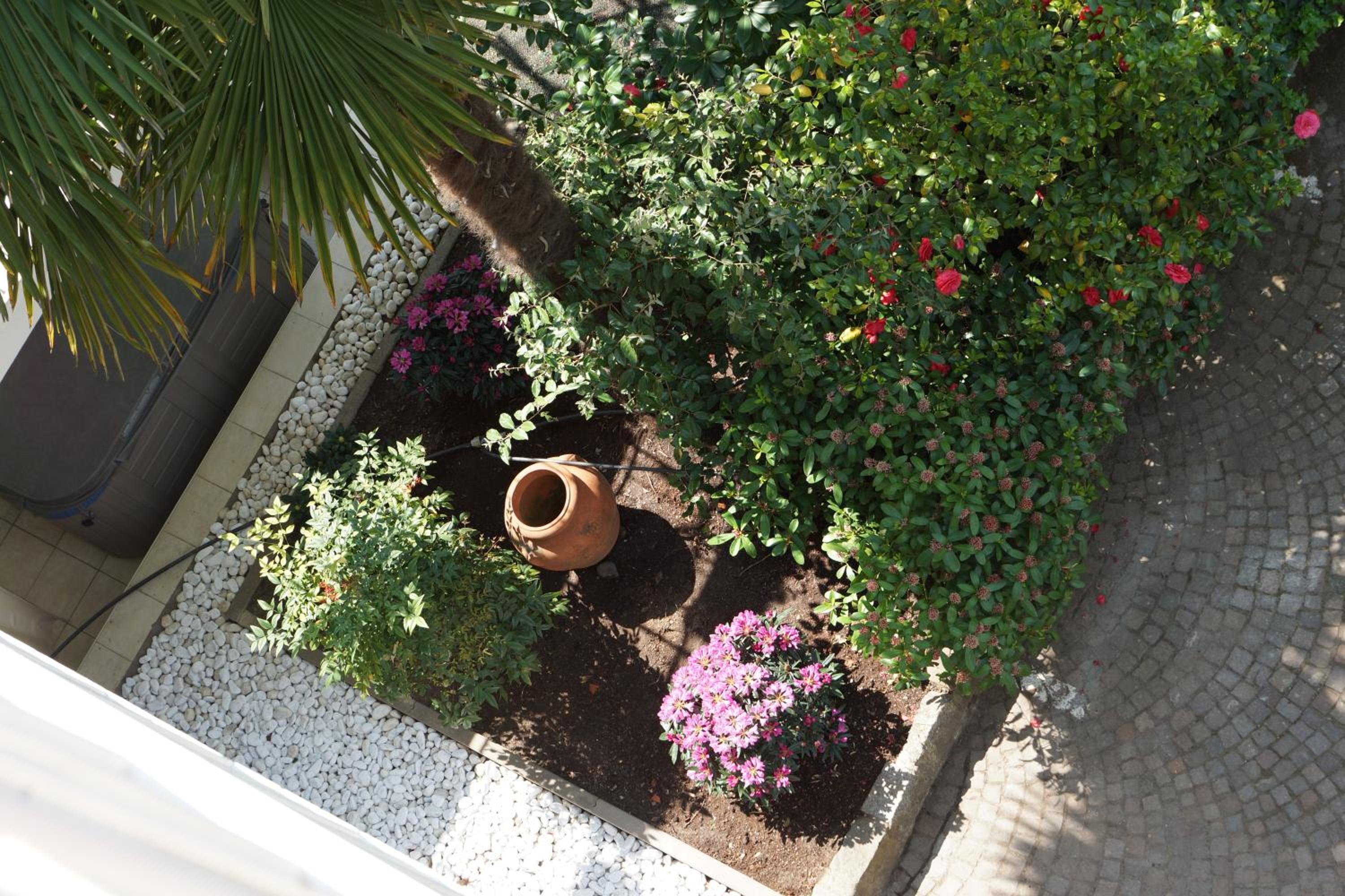 Double Room with Balcony and Garden View photo 3