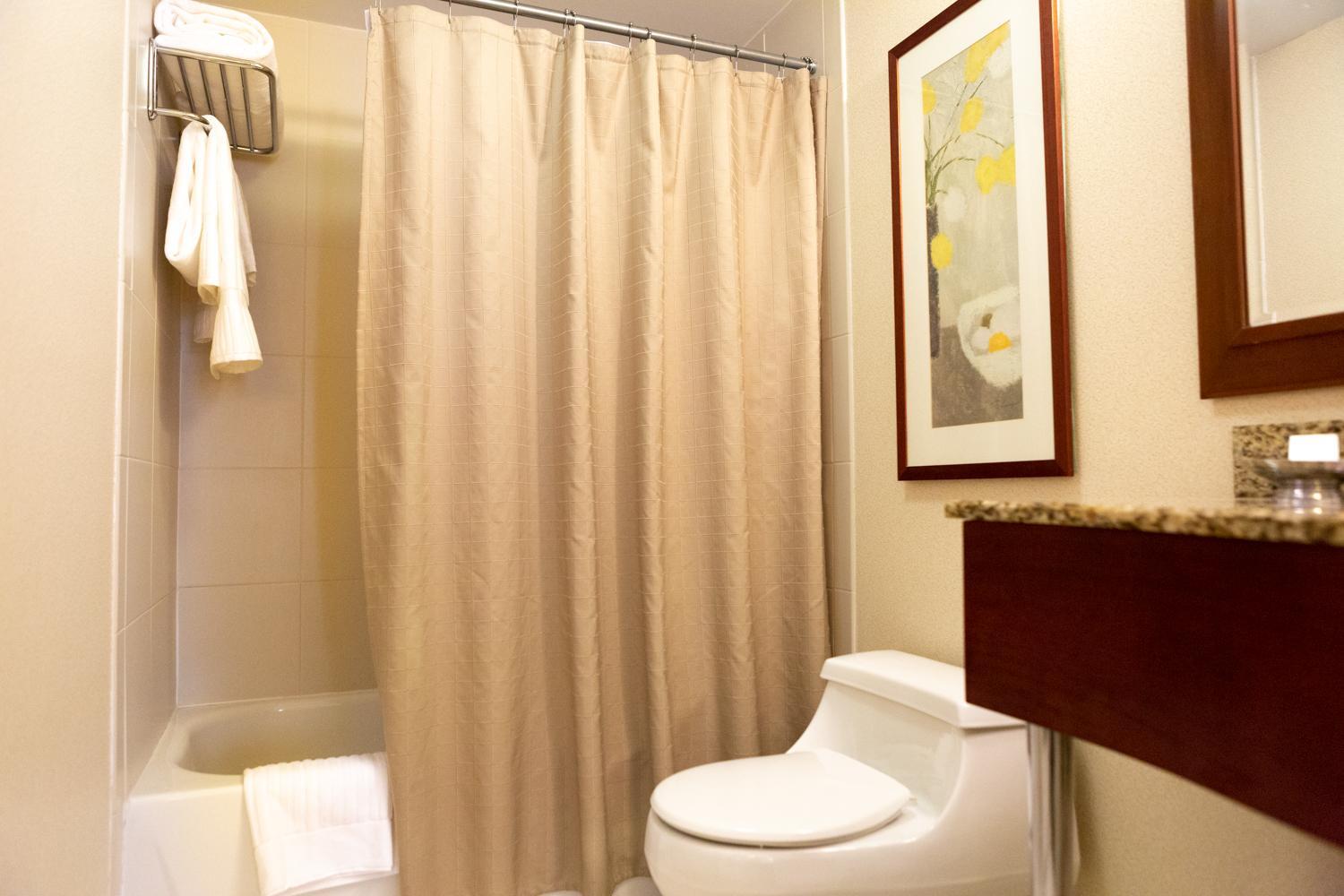 Elite One-Bedroom Suite King