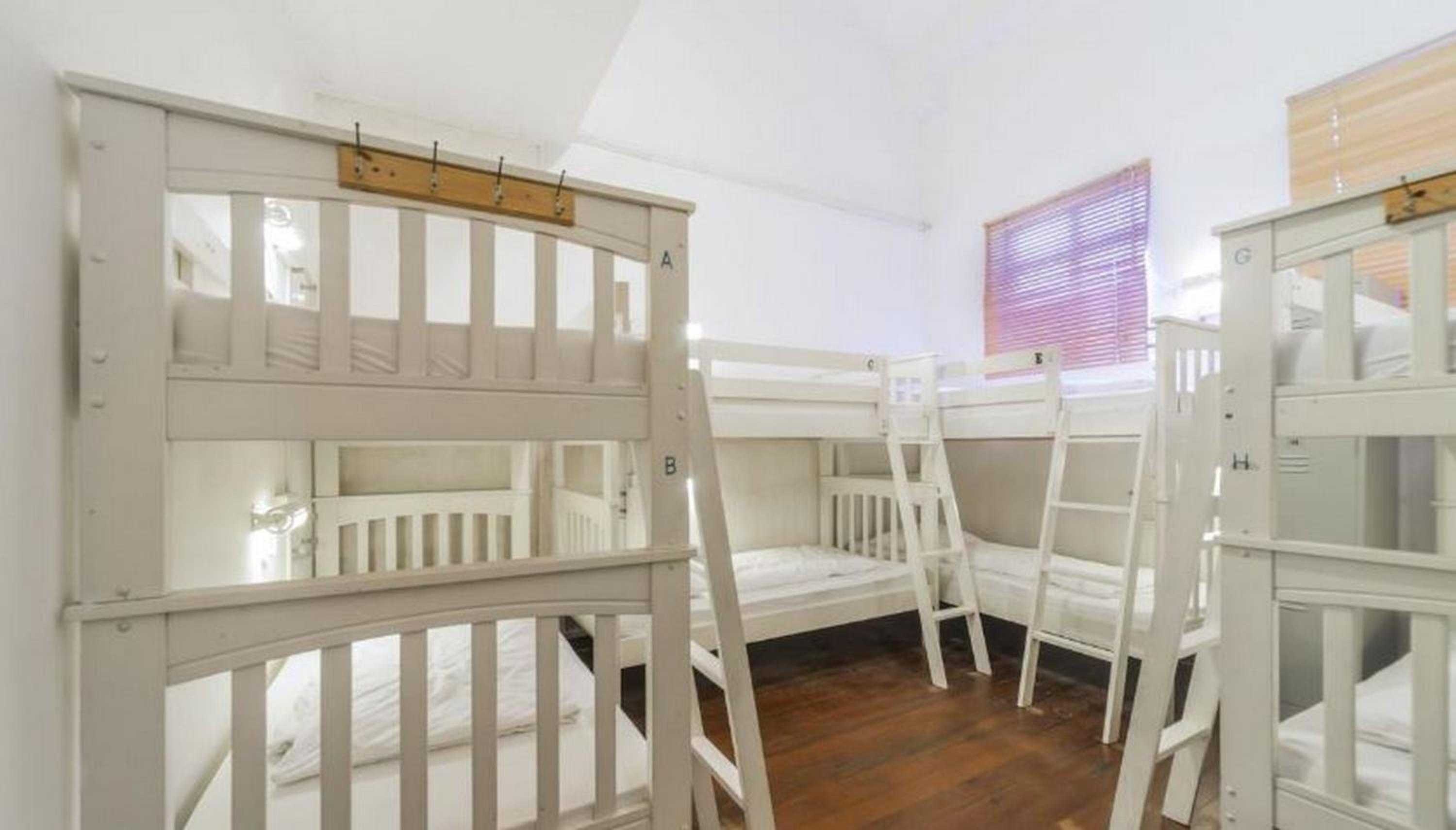 Bunk Bed in Mixed Dormitory Room photo 2