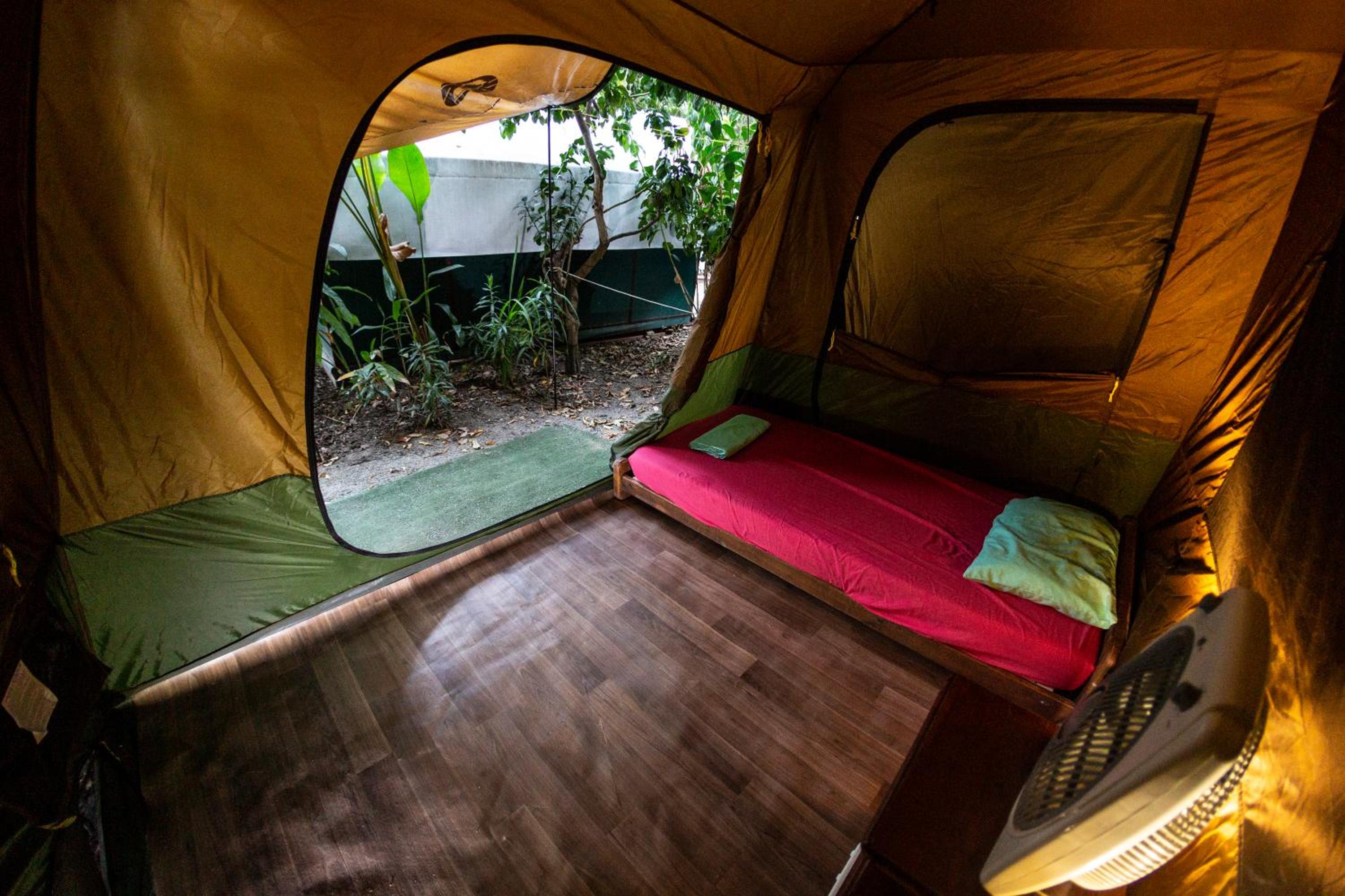 Gold Tent photo 1