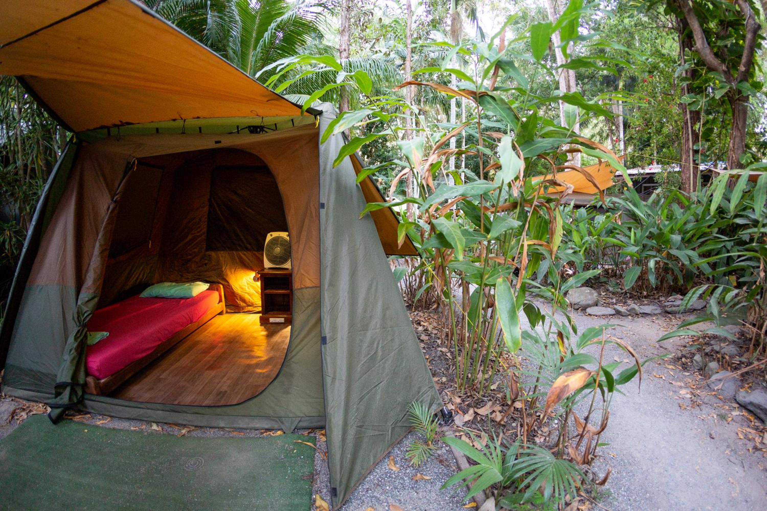 Gold Tent photo 3