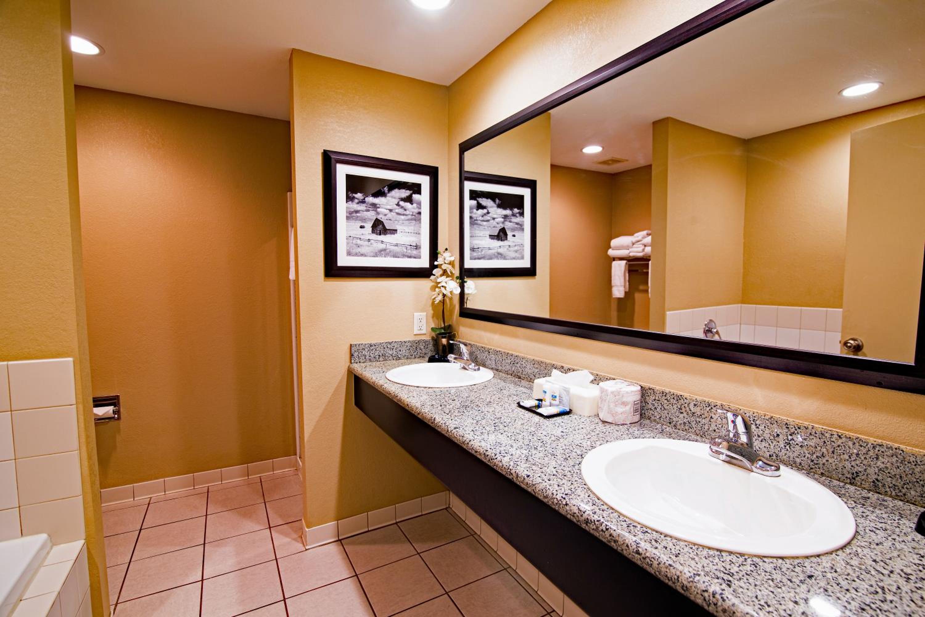 Deluxe King Suite photo 3
