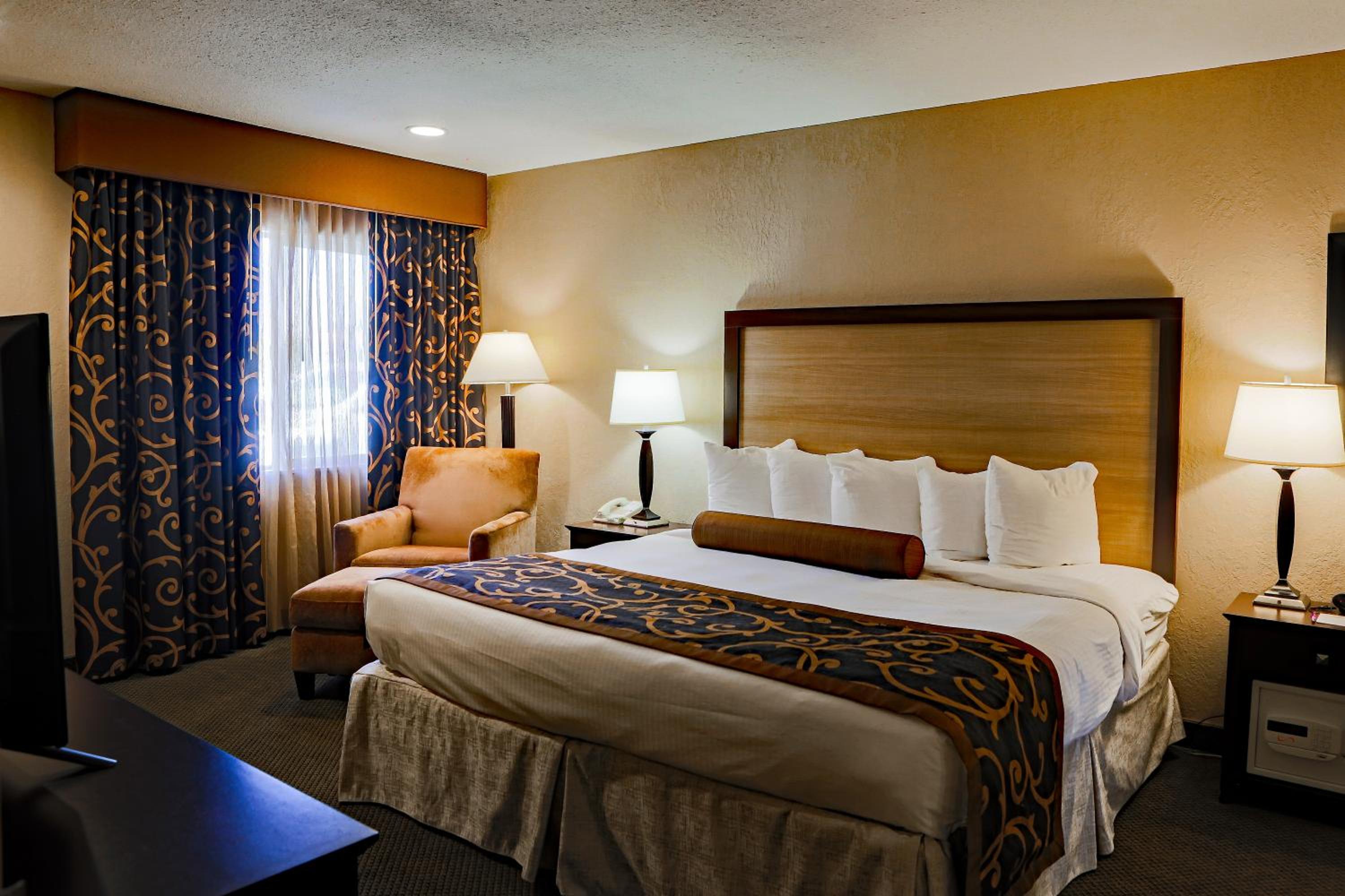 Deluxe King Suite photo 1