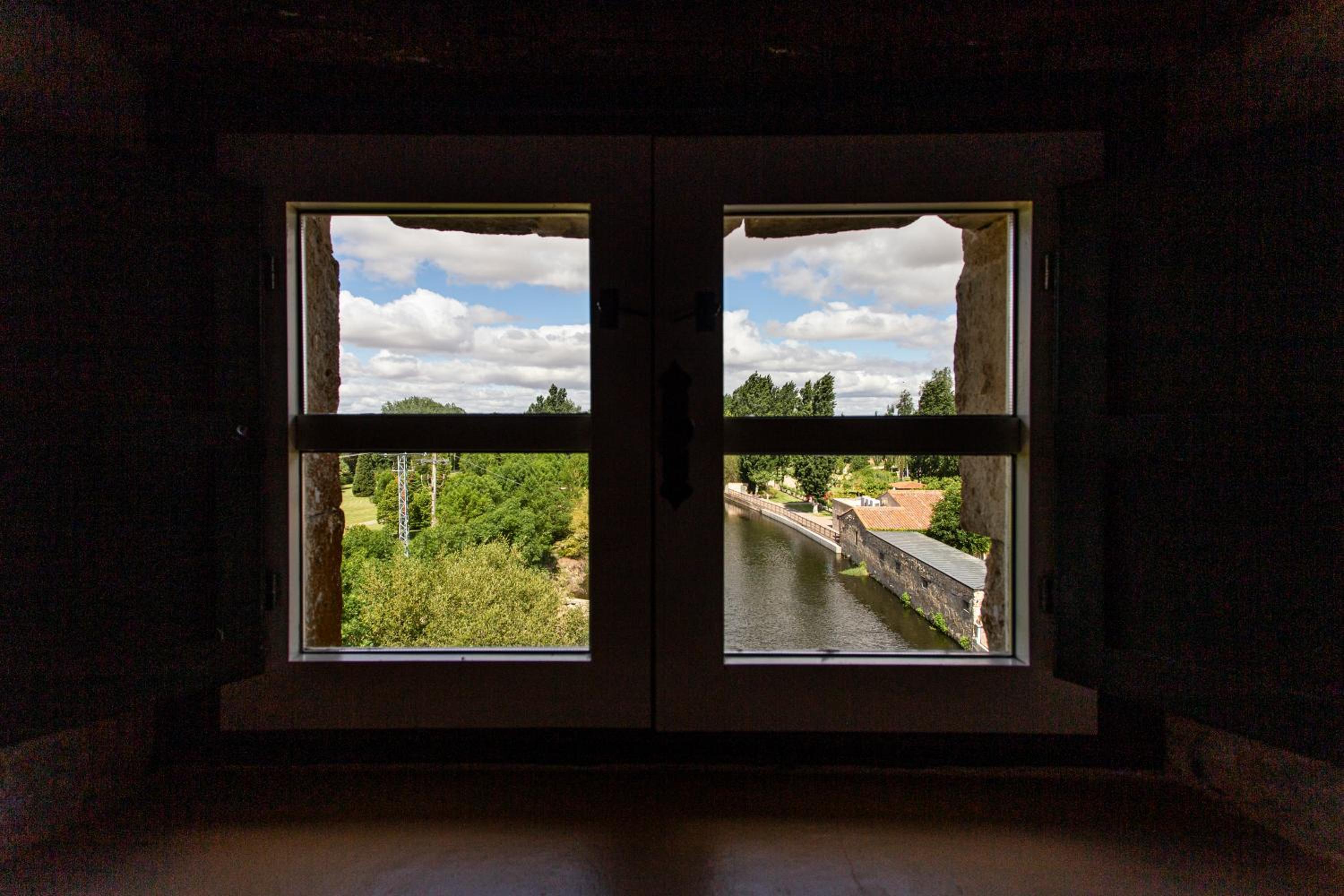 Suite - Photo 2
