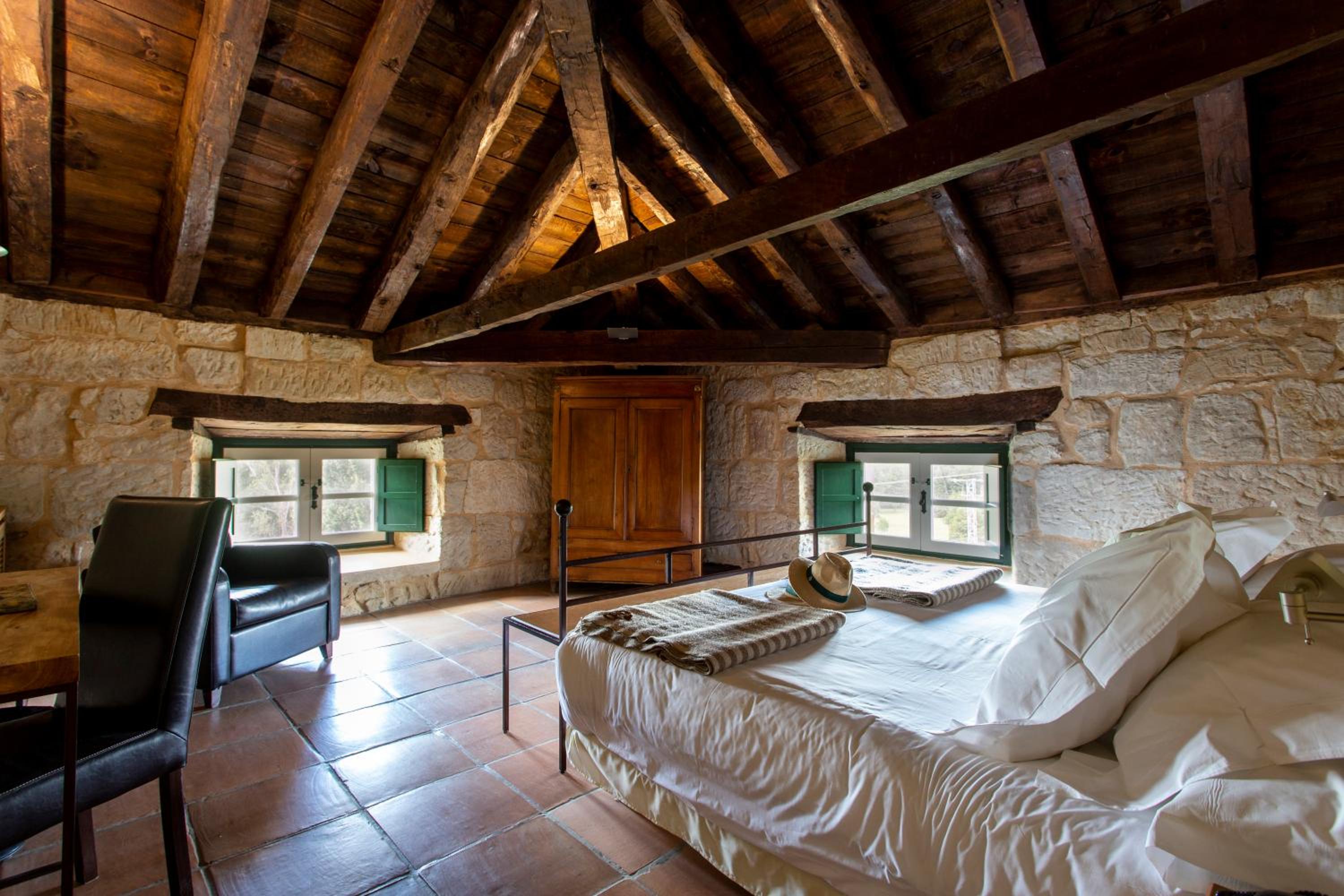 Suite - Photo 1