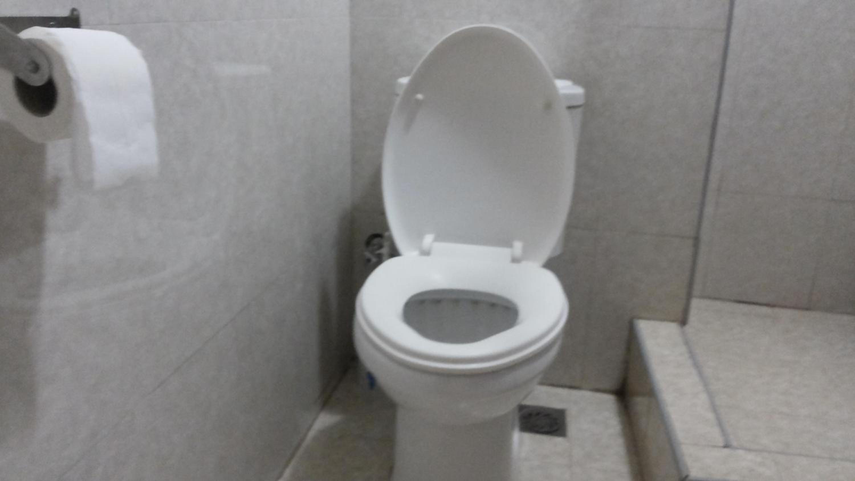 Deluxe King Suite photo 1