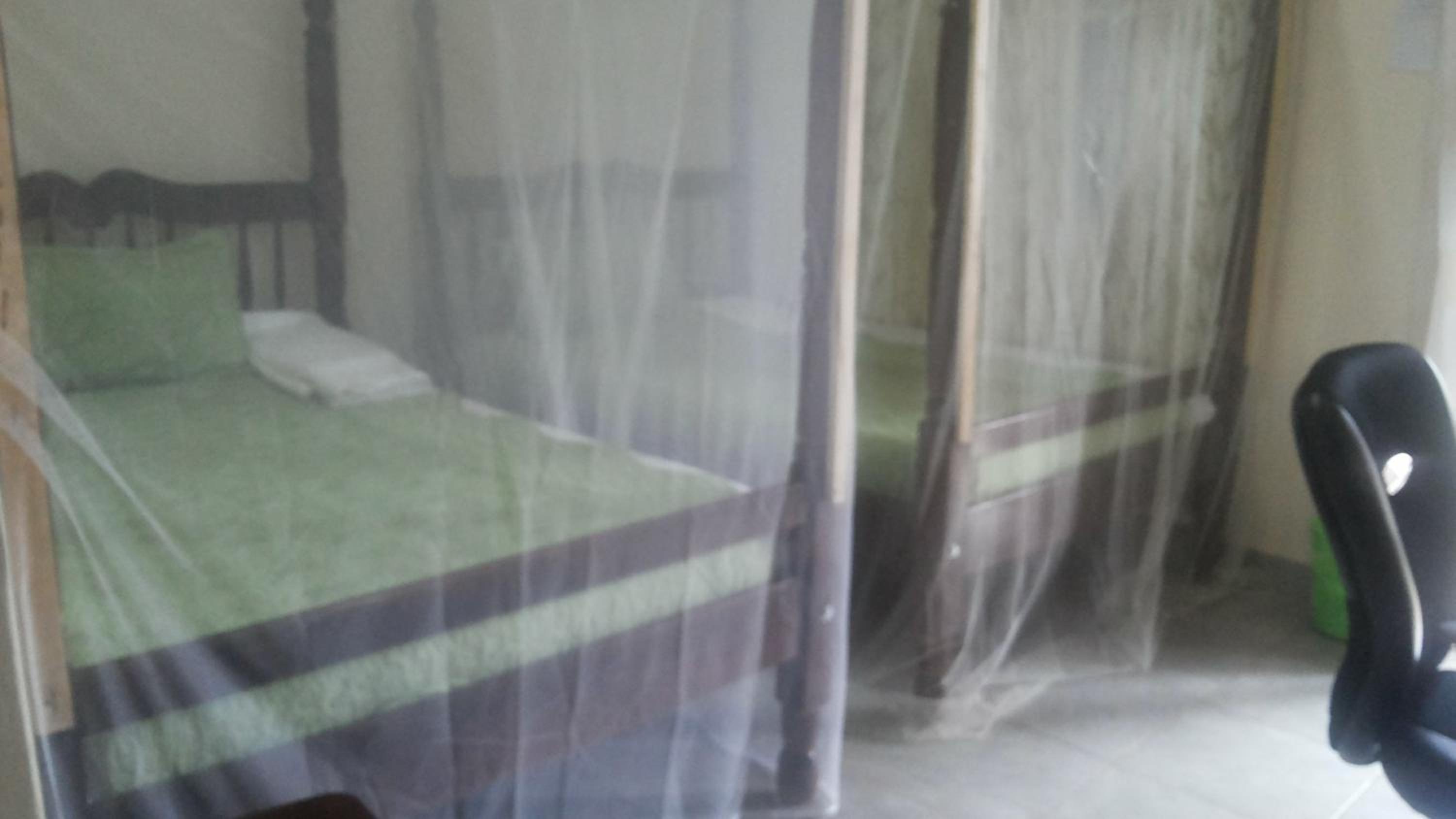 Deluxe Twin Room photo 1