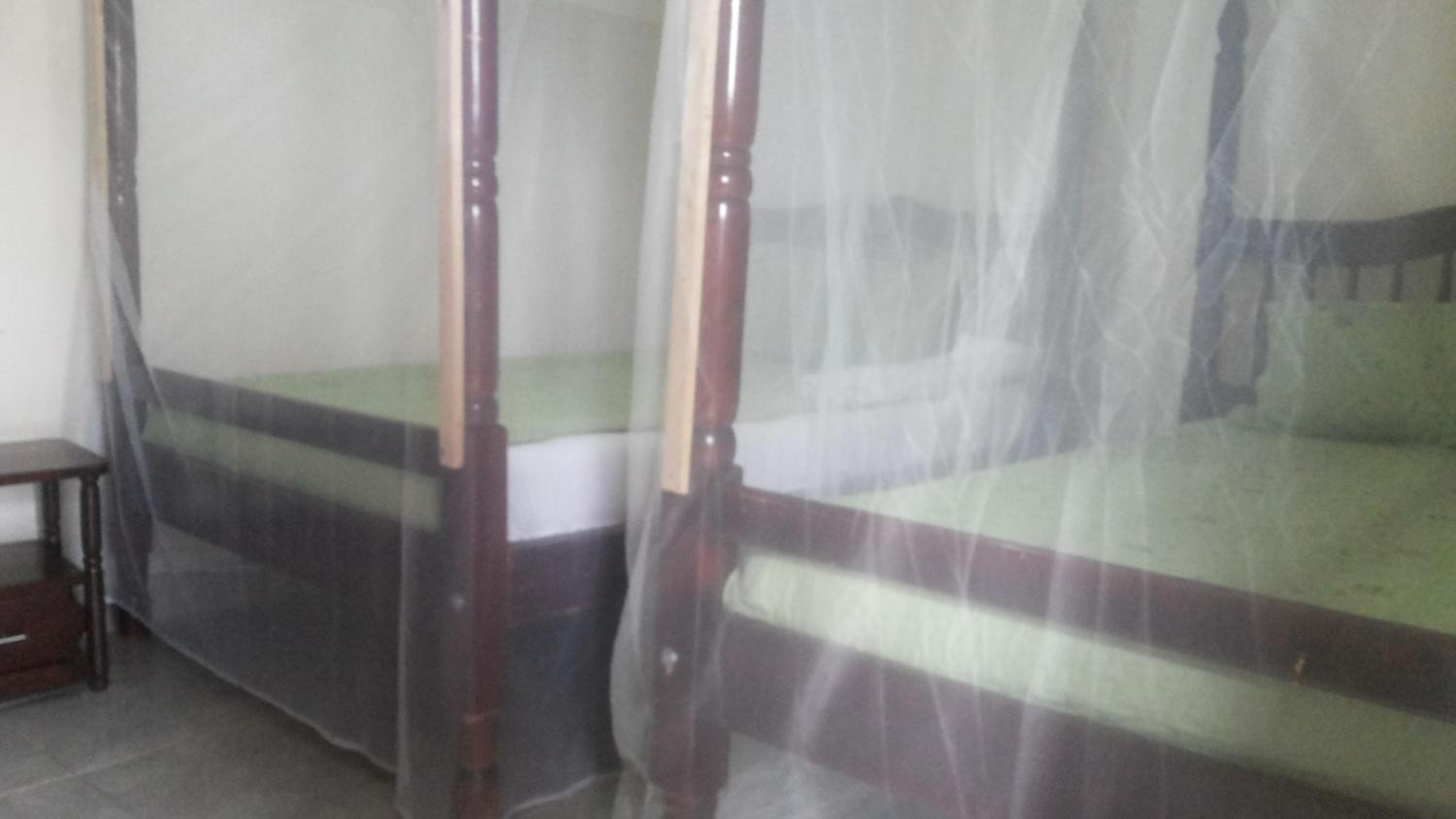 Deluxe Twin Room photo 2