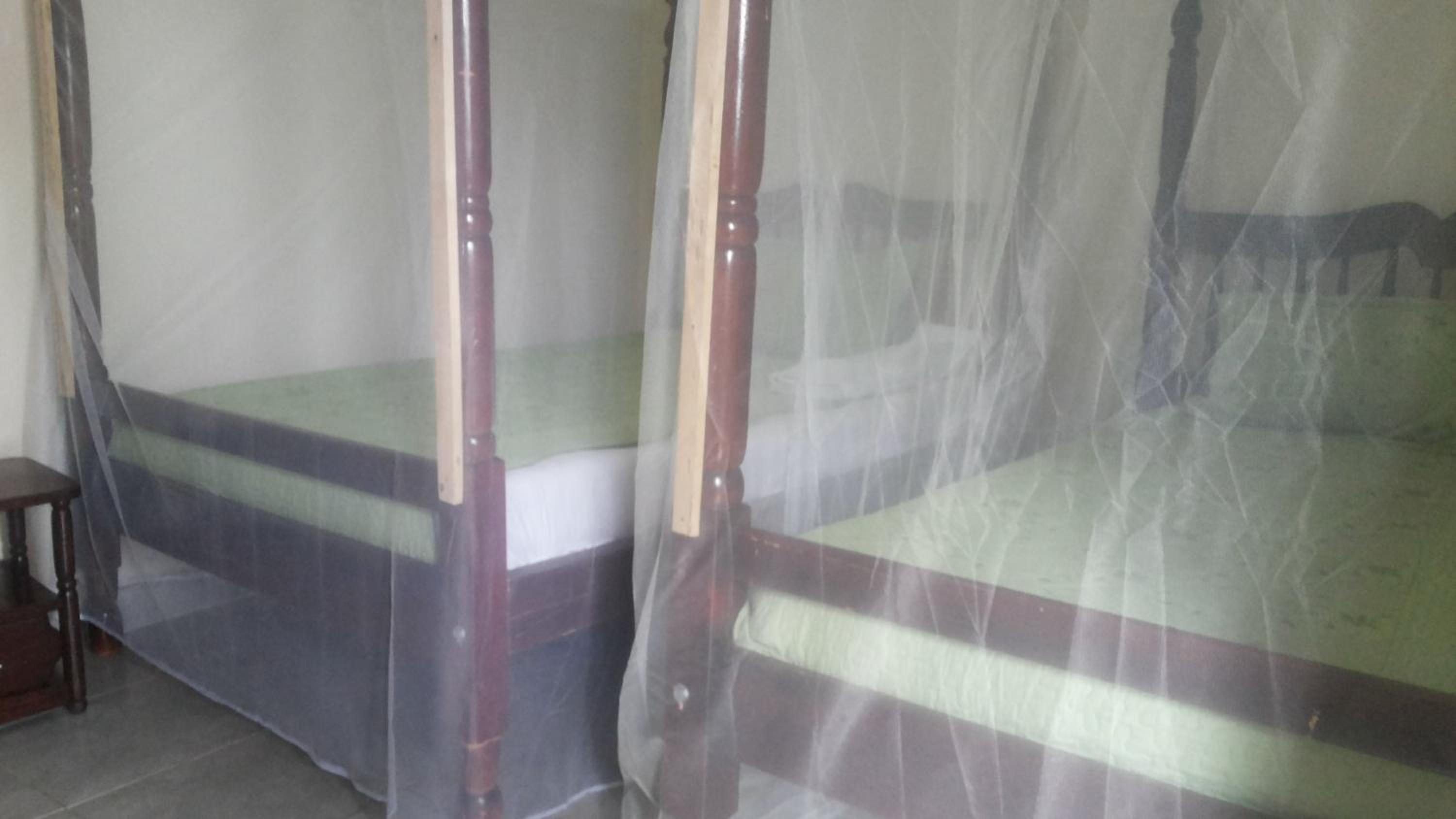 Deluxe Twin Room photo 3