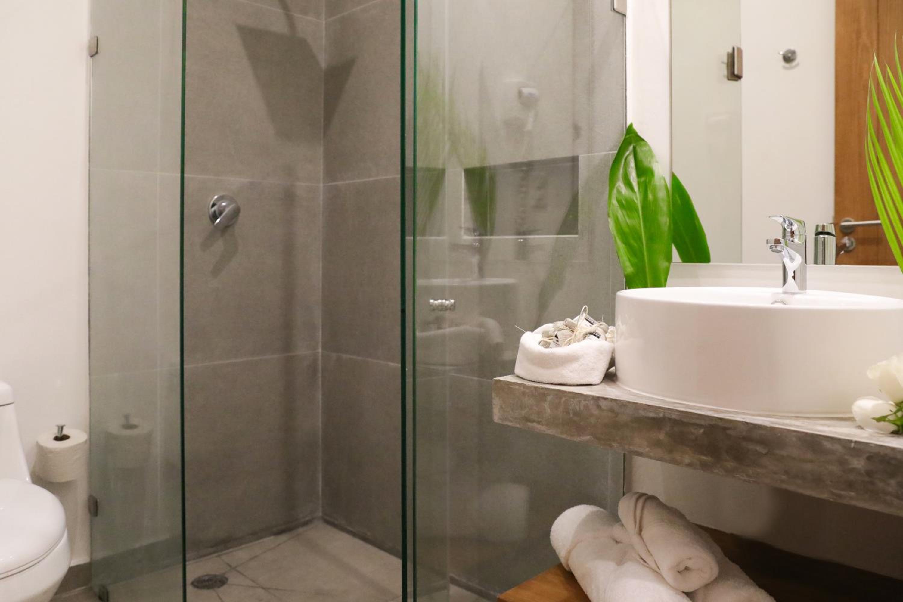 Deluxe Suite - Photo 9