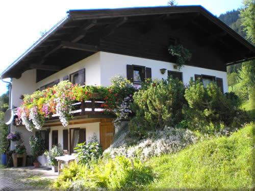 Chalet (8 Adults) photo 3