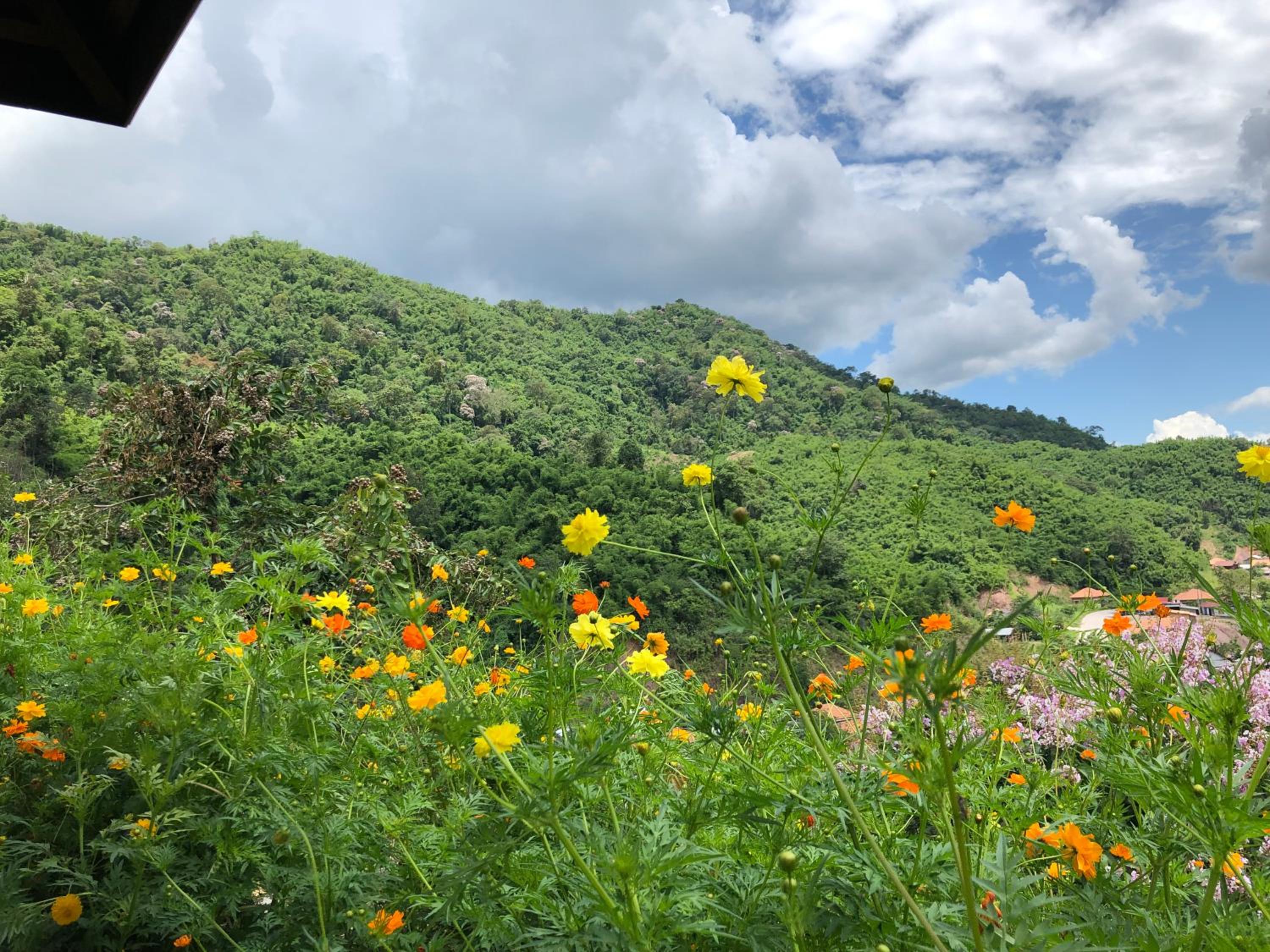 Mountain Villa Twin