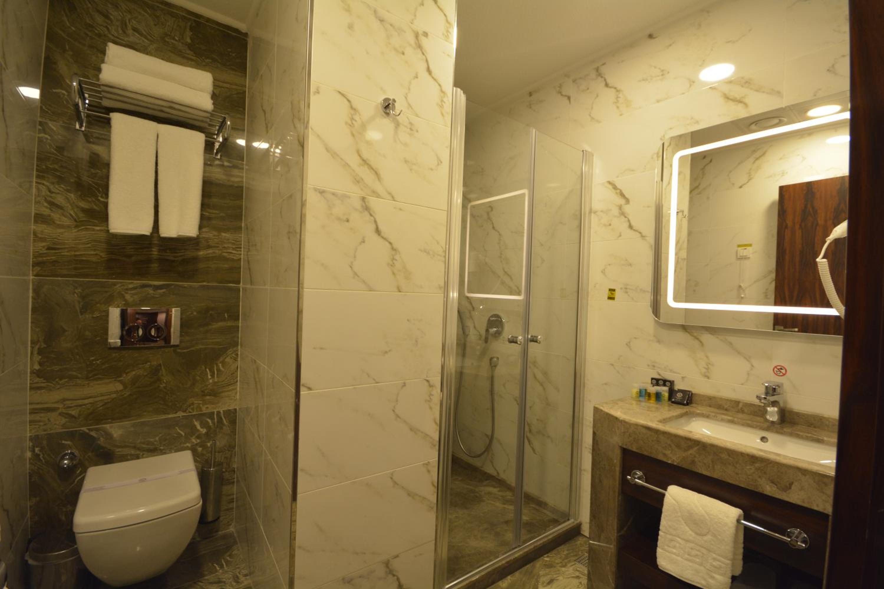 Deluxe Double or Twin Room photo 3