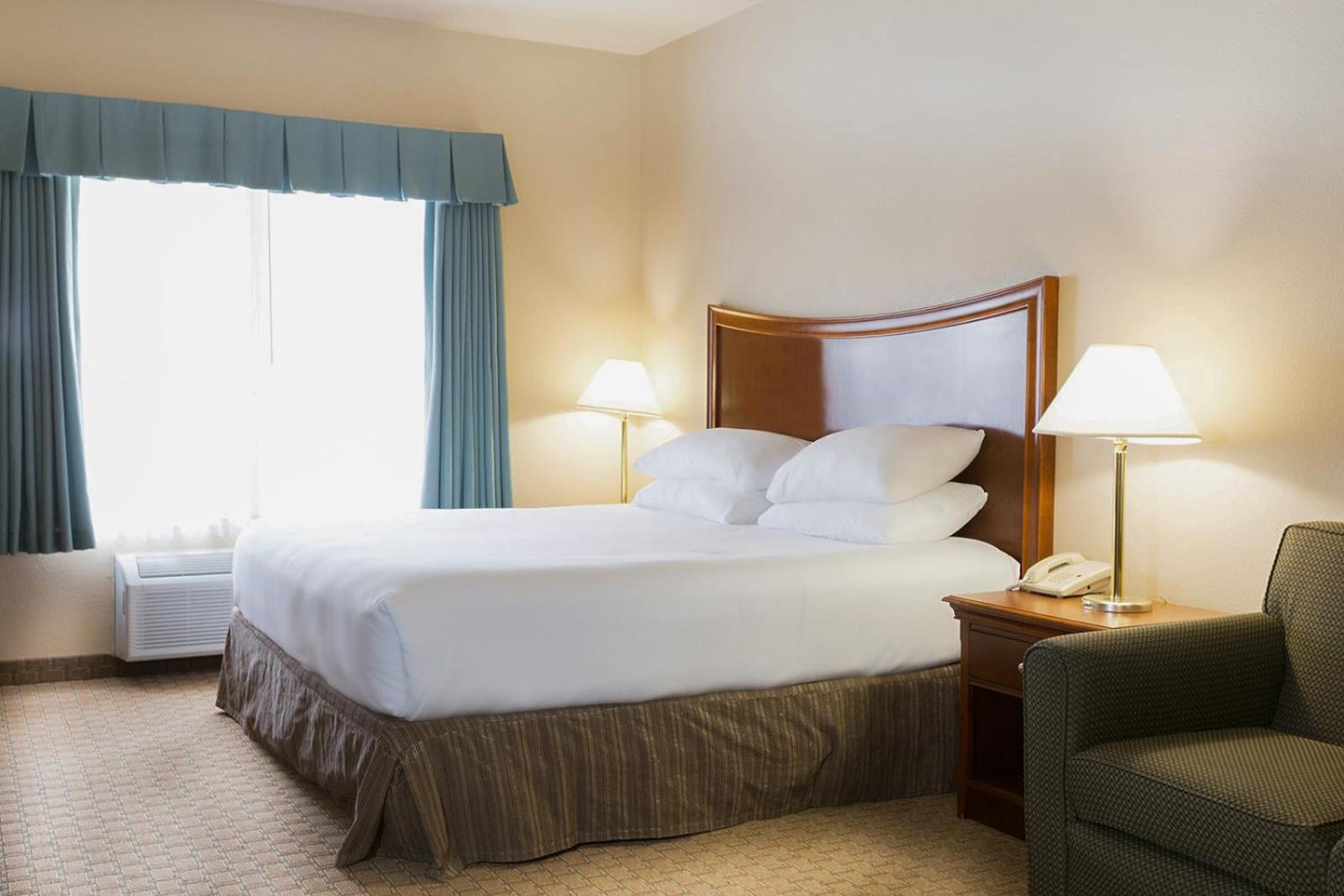 Standard King Room - Pet Friendly - Photo 5