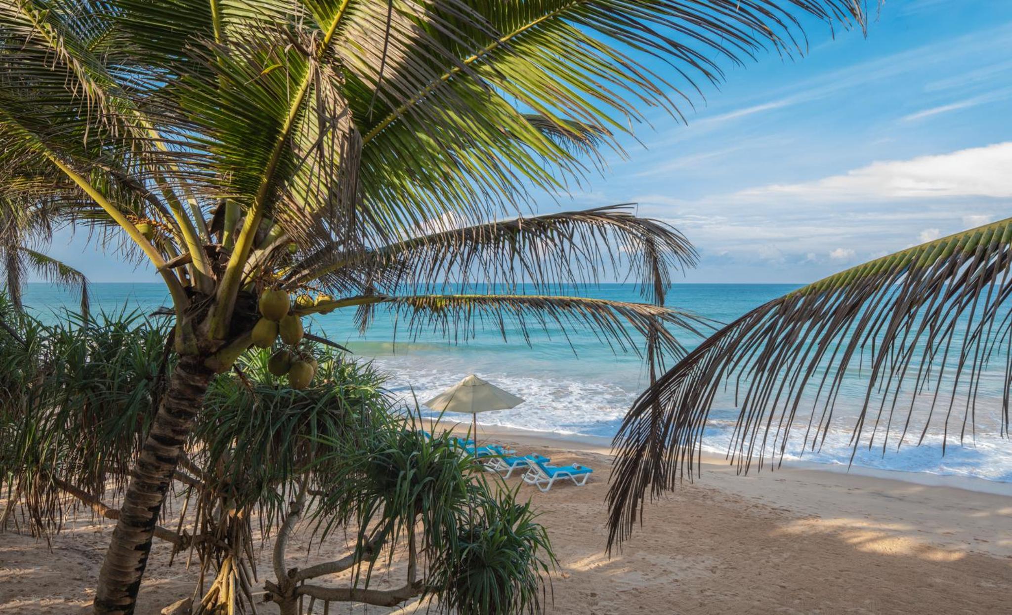 Three Bedroom Villa with Ocean View photo 3