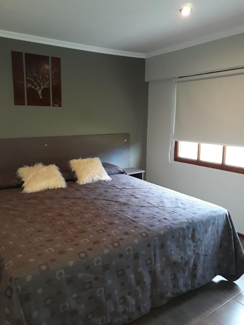 Double or Twin Room photo 1