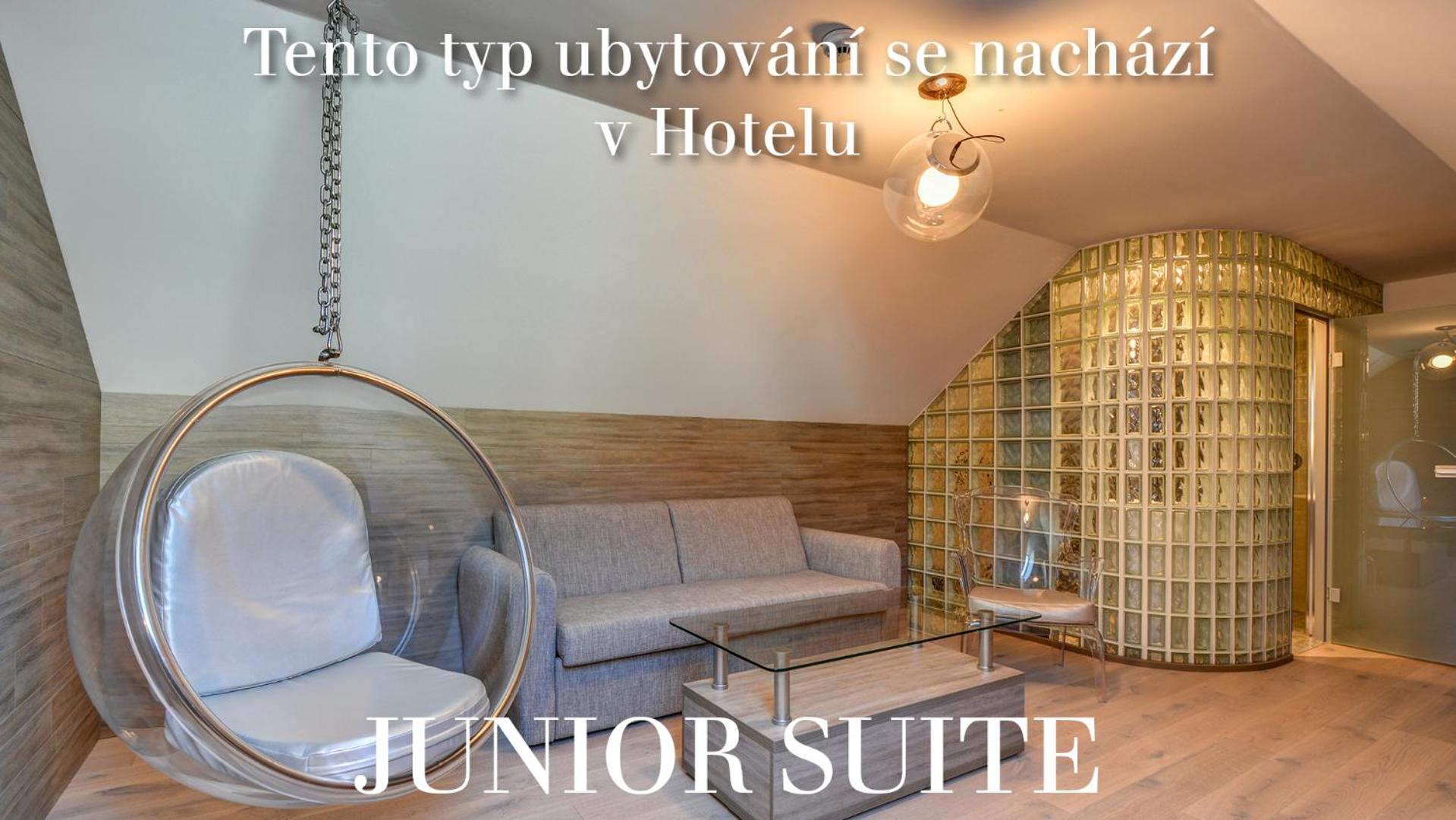 Junior Suite (Hotel)