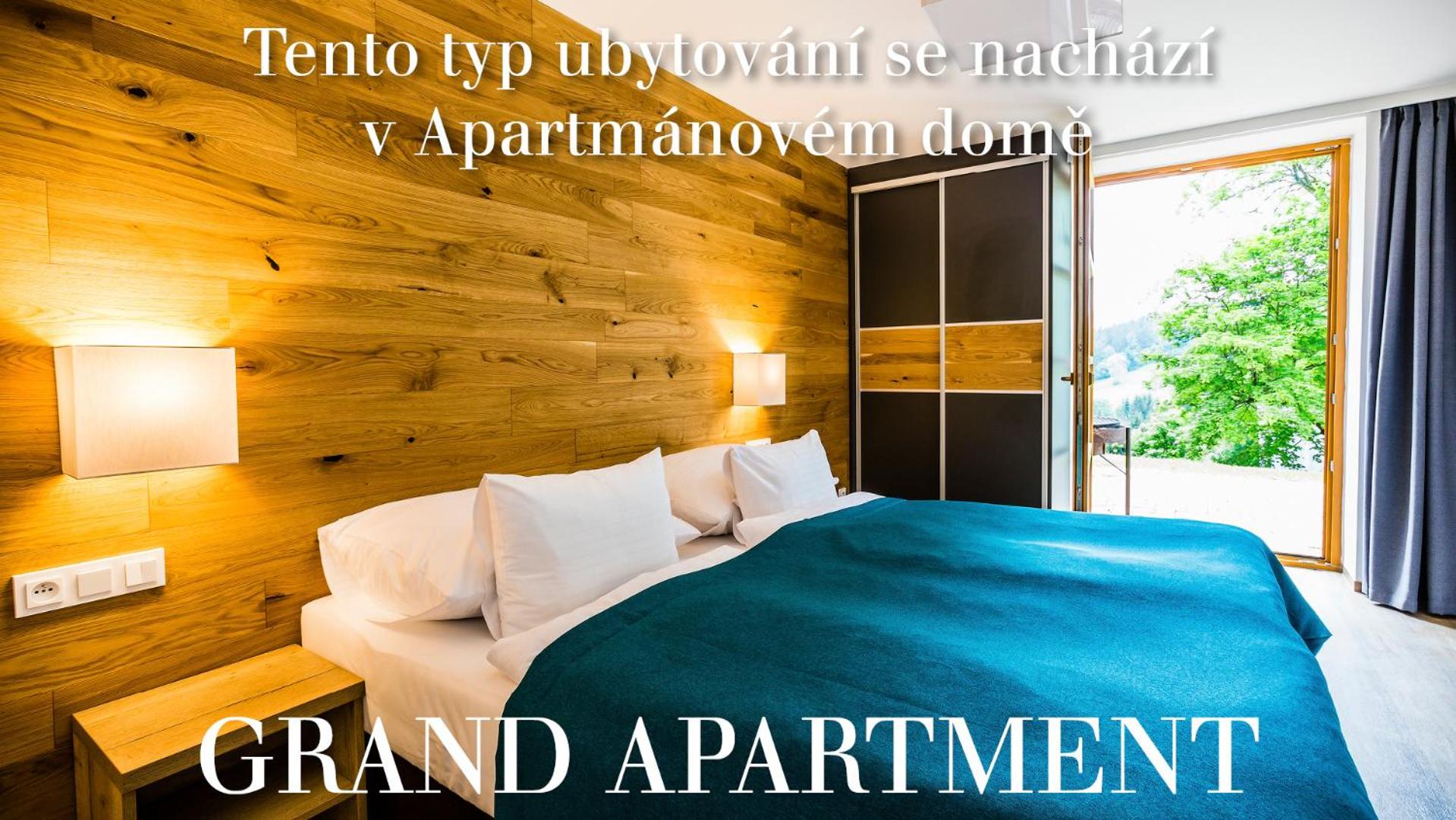 Apartment with Terrace photo 3