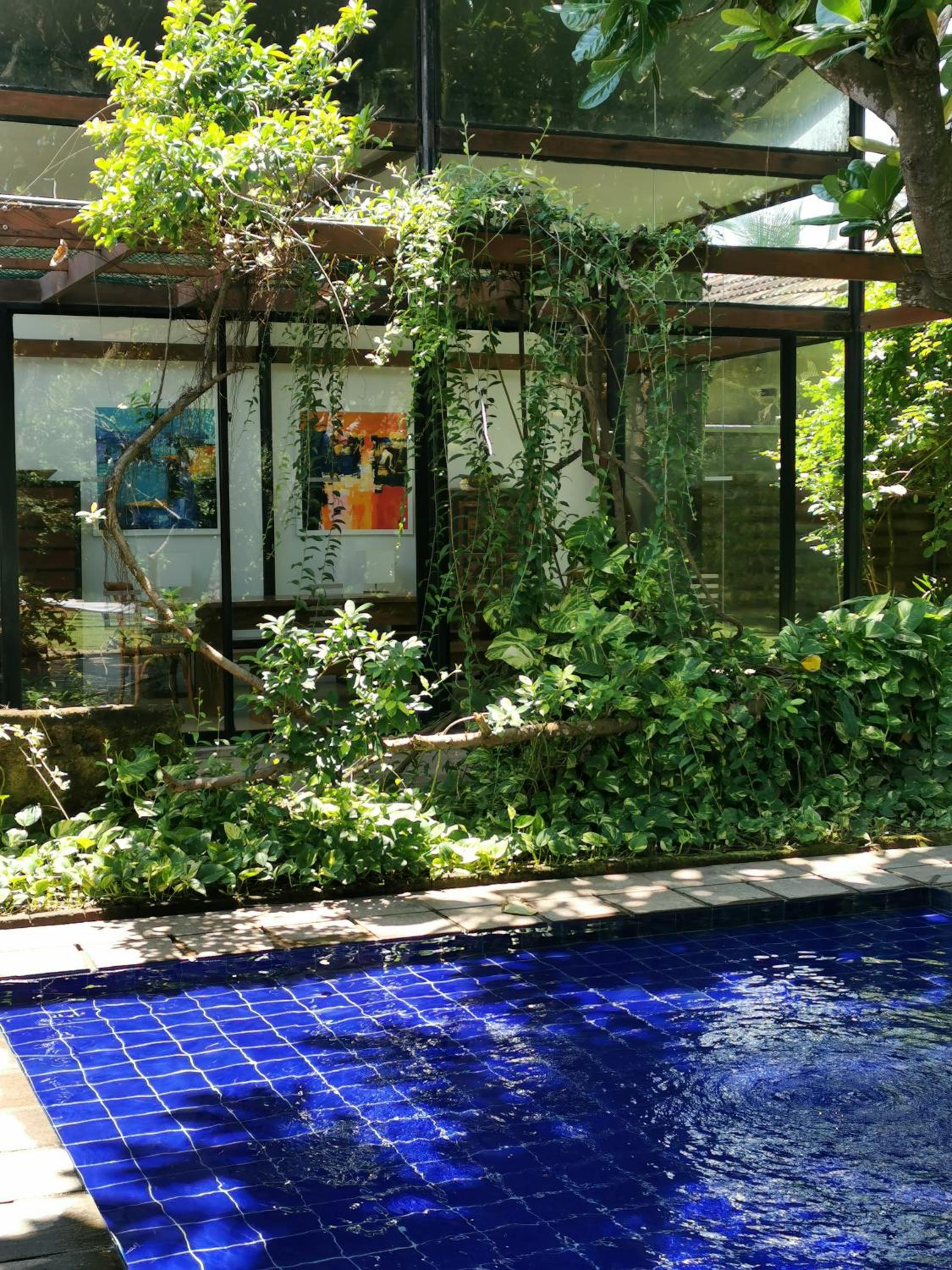 Villa - Beach Front photo 2