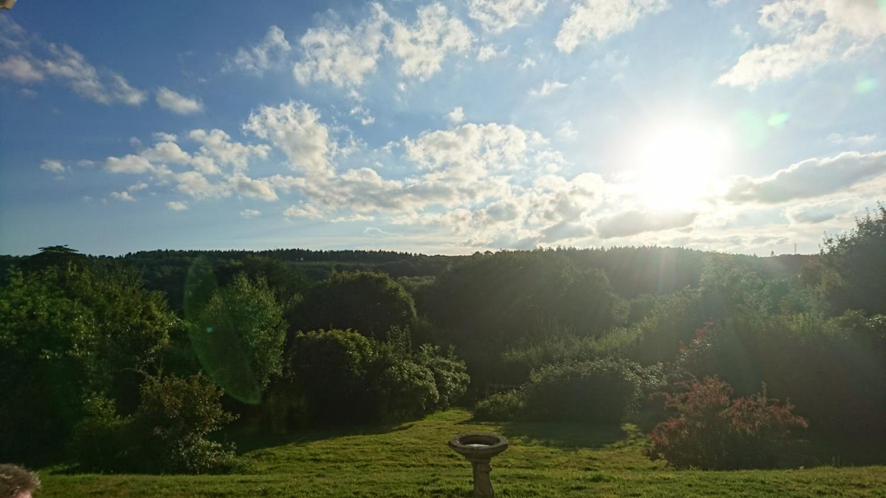 Superior Double Or Twin Room With Garden View photo 3