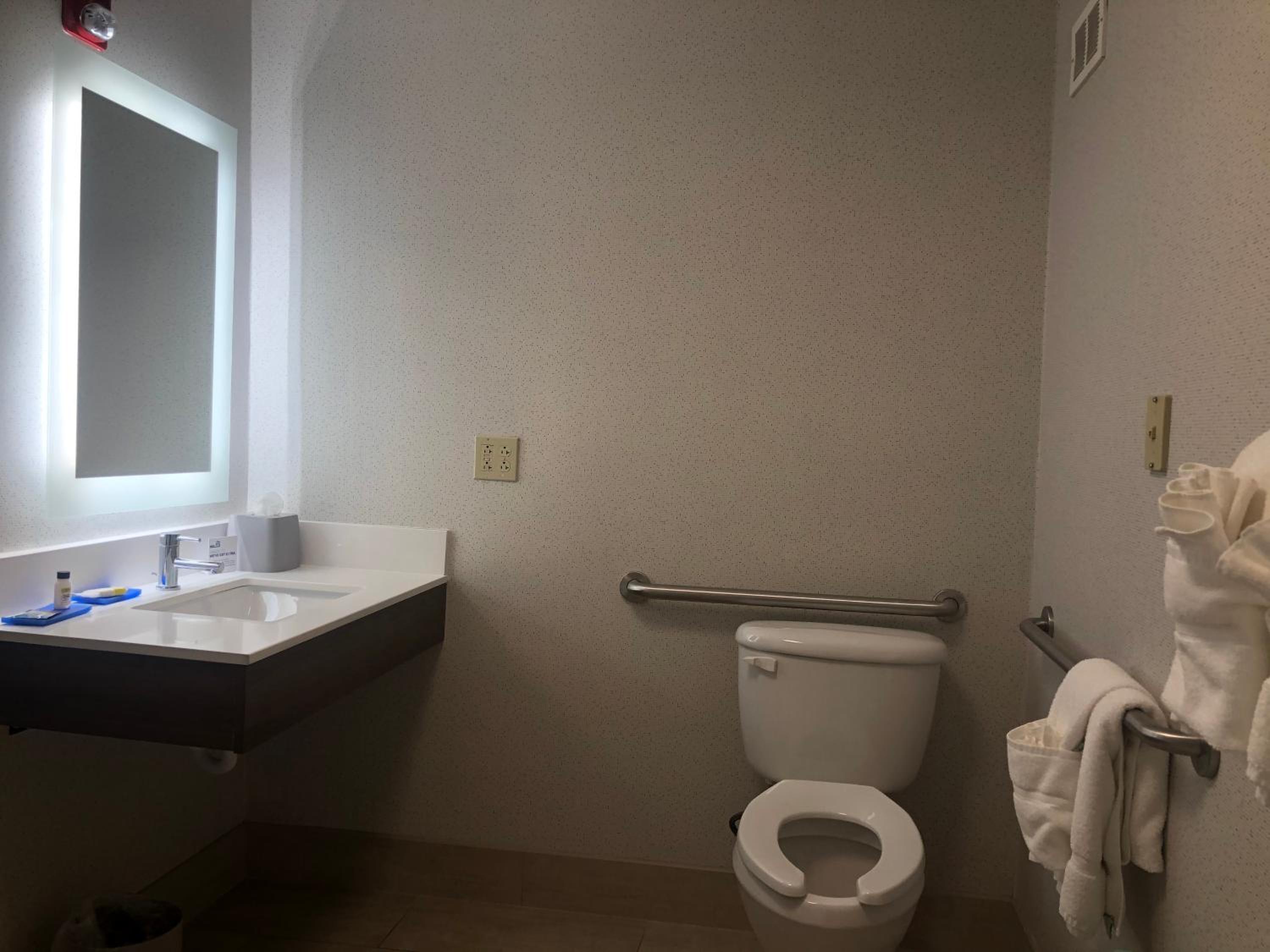 King Room with Roll-In Shower - Disability Access - Photo 6