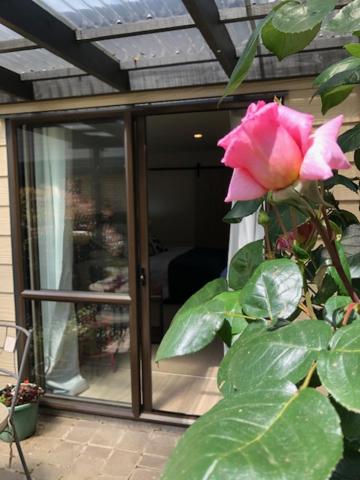 Superior Double or Twin Room with Garden View - Photo 2
