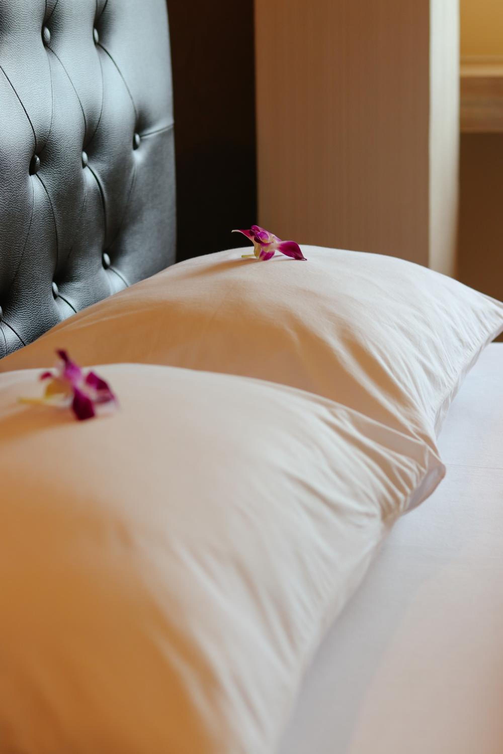 Comfort Triple Room - Photo 7