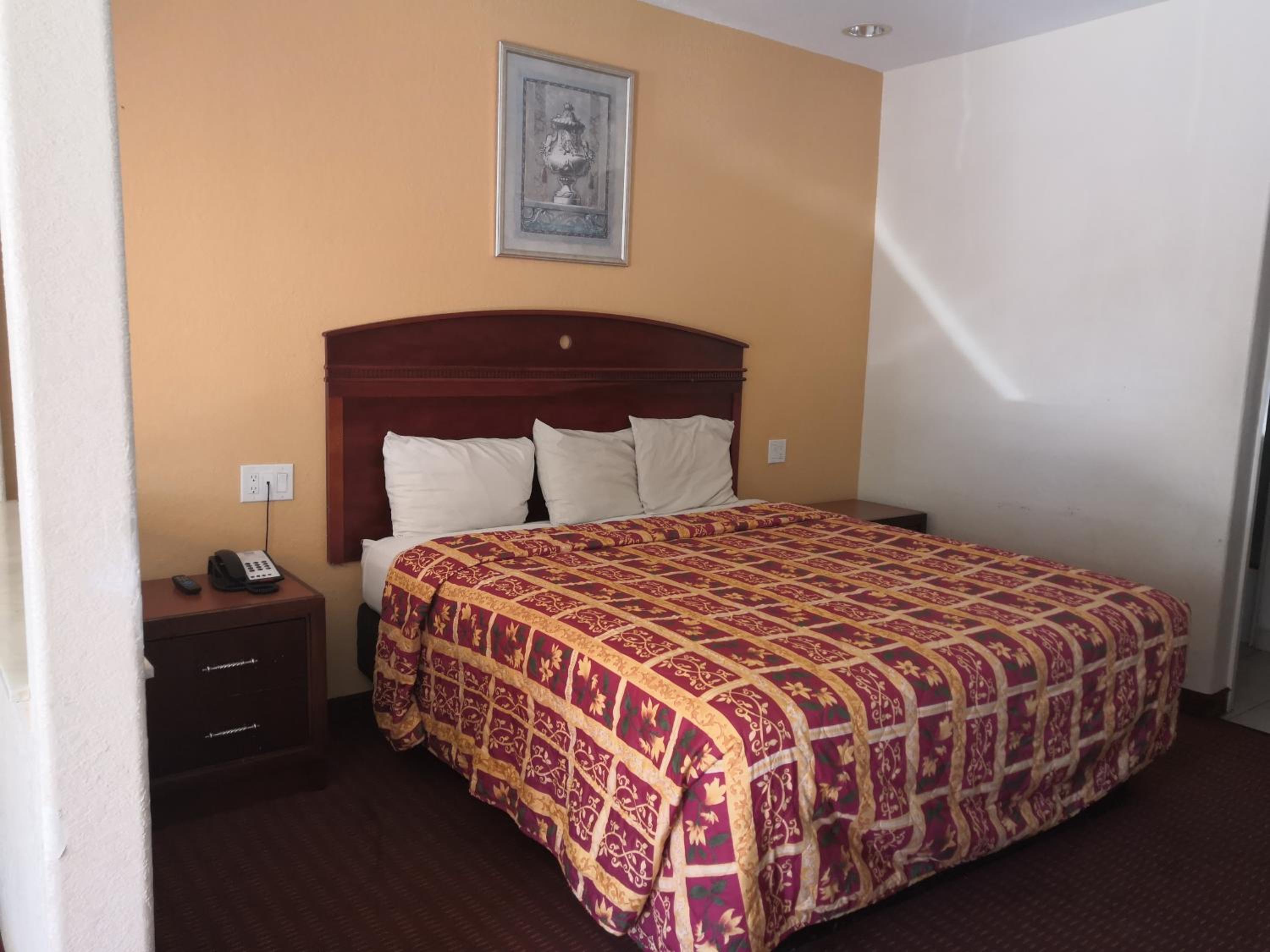 Budget Single Room