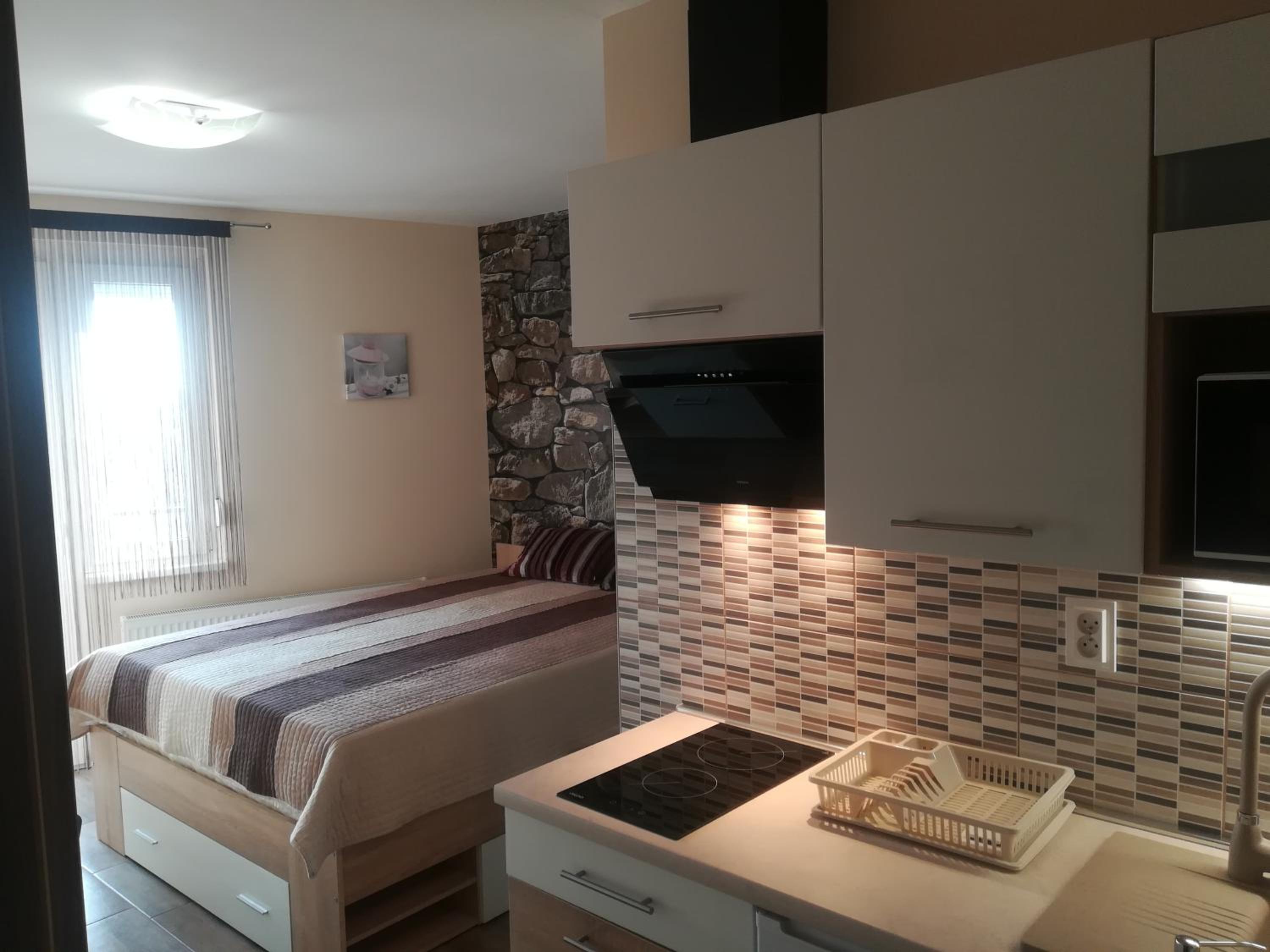 Deluxe Apartment - Photo 1
