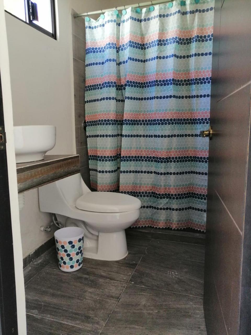 Apartment with Terrace photo 3