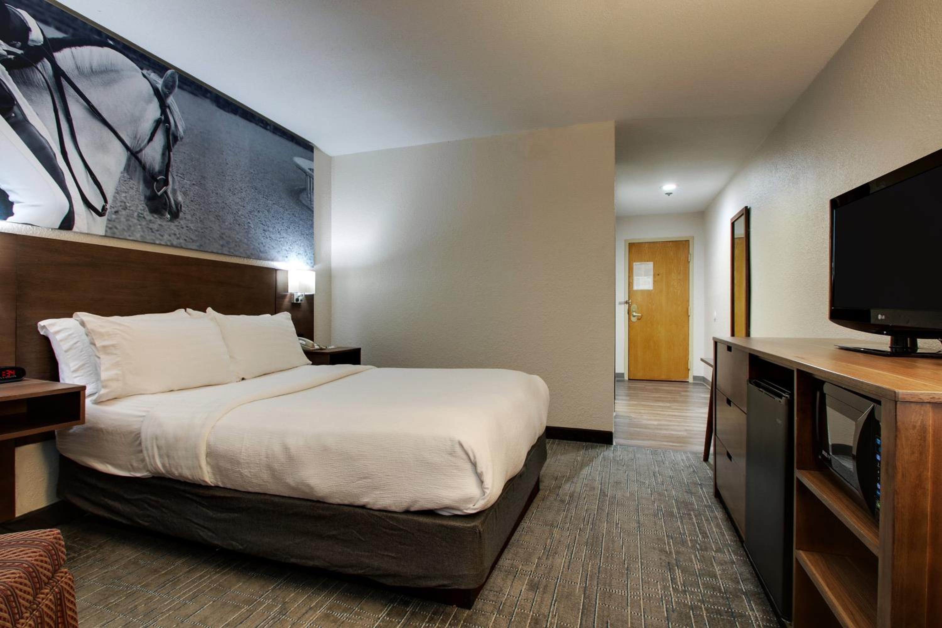 1 King Bed, Hearing Accessible Room, Non-Smoking - Photo 4