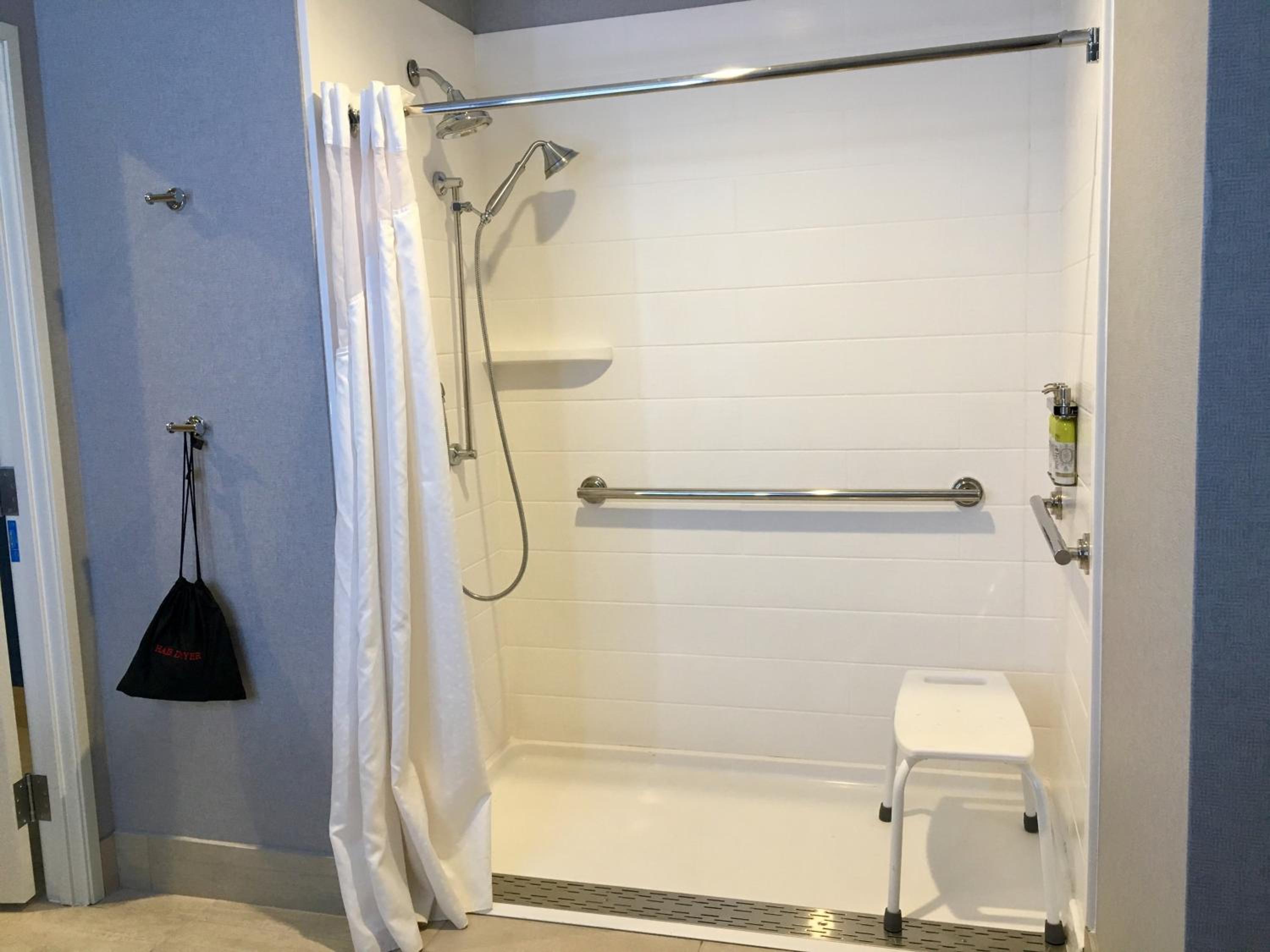 Suite - Disability Access Roll in Shower/Non-Smoking photo 2