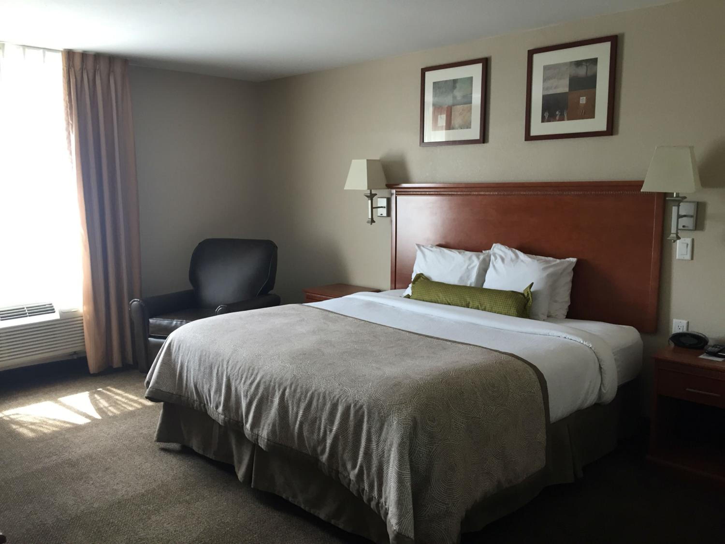 King Studio Suite - Photo 4